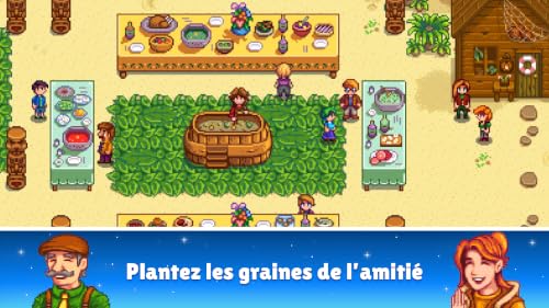 Stardew Valley – vue 5