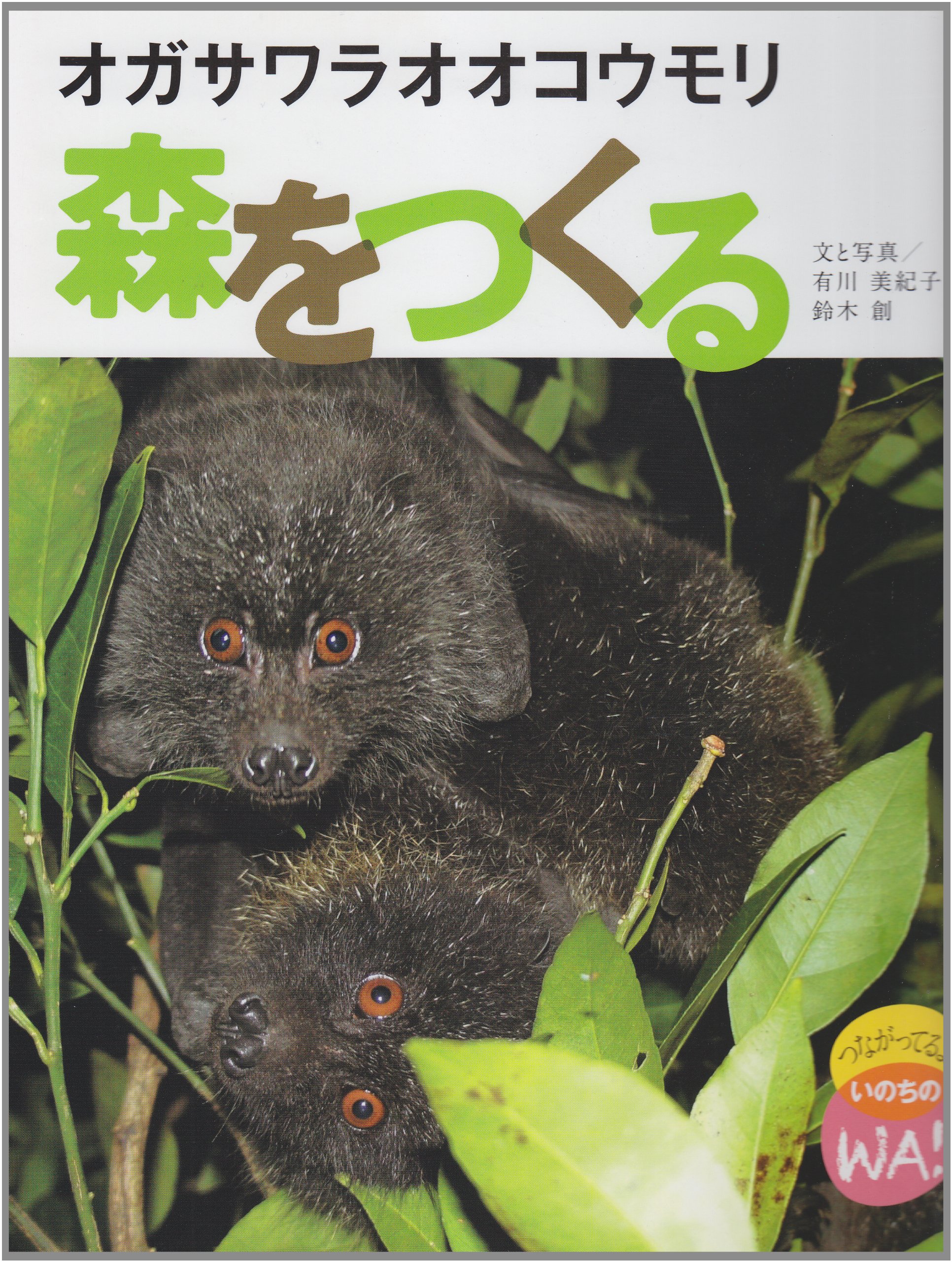 オガサワラオオコウモリ森をつくる (つながってるよいのちのWA