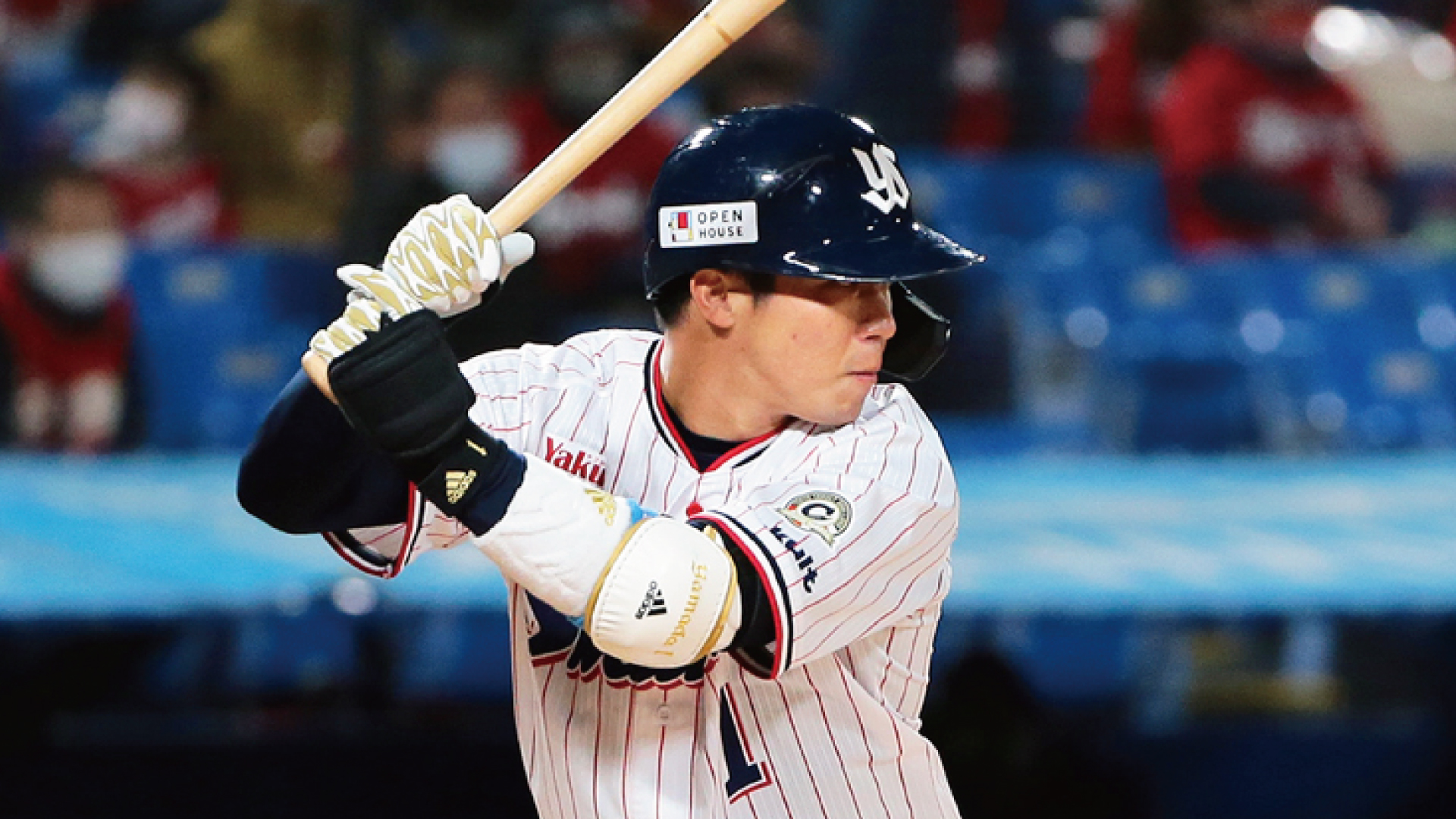 Amazon｜【最大30日間お試し対象】 マニフレックス DDウィング 2種類の