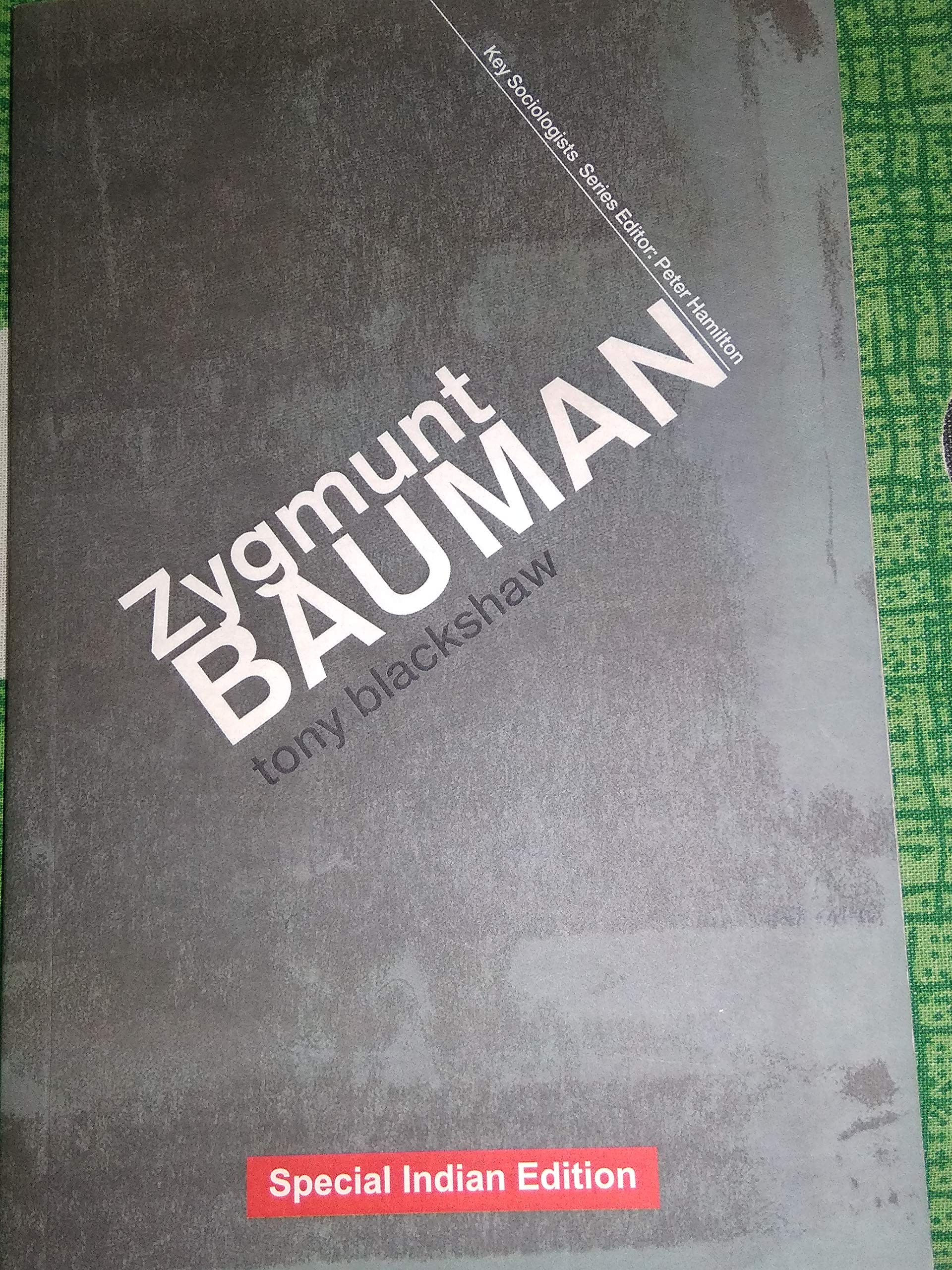 Routledge Key Sociologists Series : Zygmunt Bauman (T & F E)