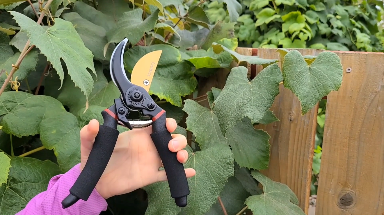 gonicc 8" Professional Premium Titanium Bypass Pruning Shears (GPPS