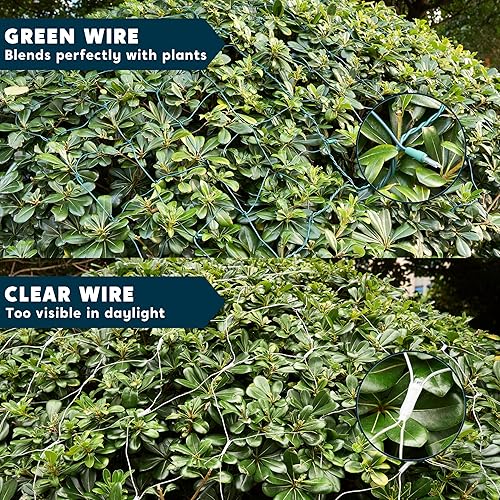 Miniatura 7 de Joiedomi 100 luces de red de Navidad blancas cálidas para decoración de interiores y exteriores, eventos de Navidad, decoración de noche de