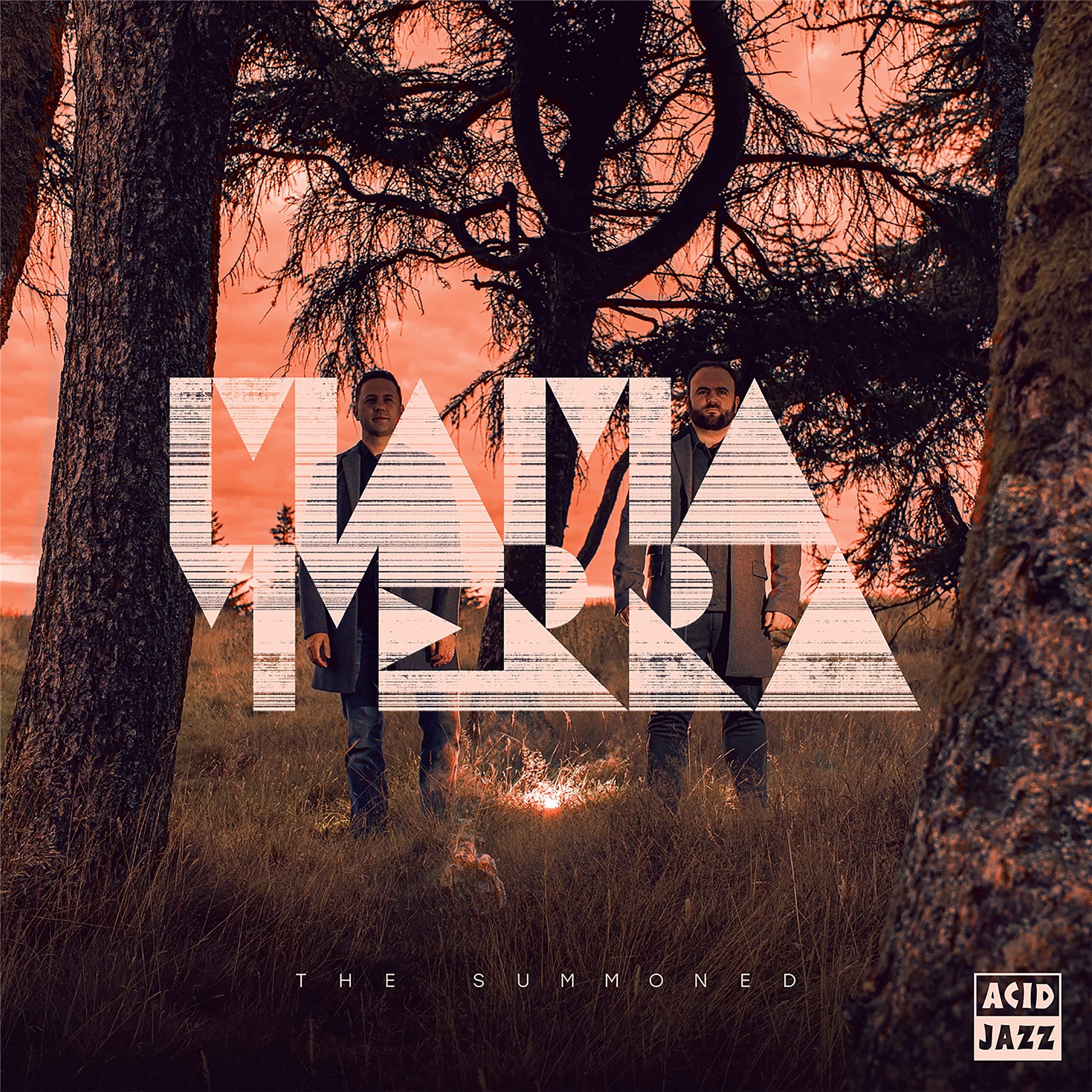 Mama Terra - The Summoned (Acid Jazz) CD Album