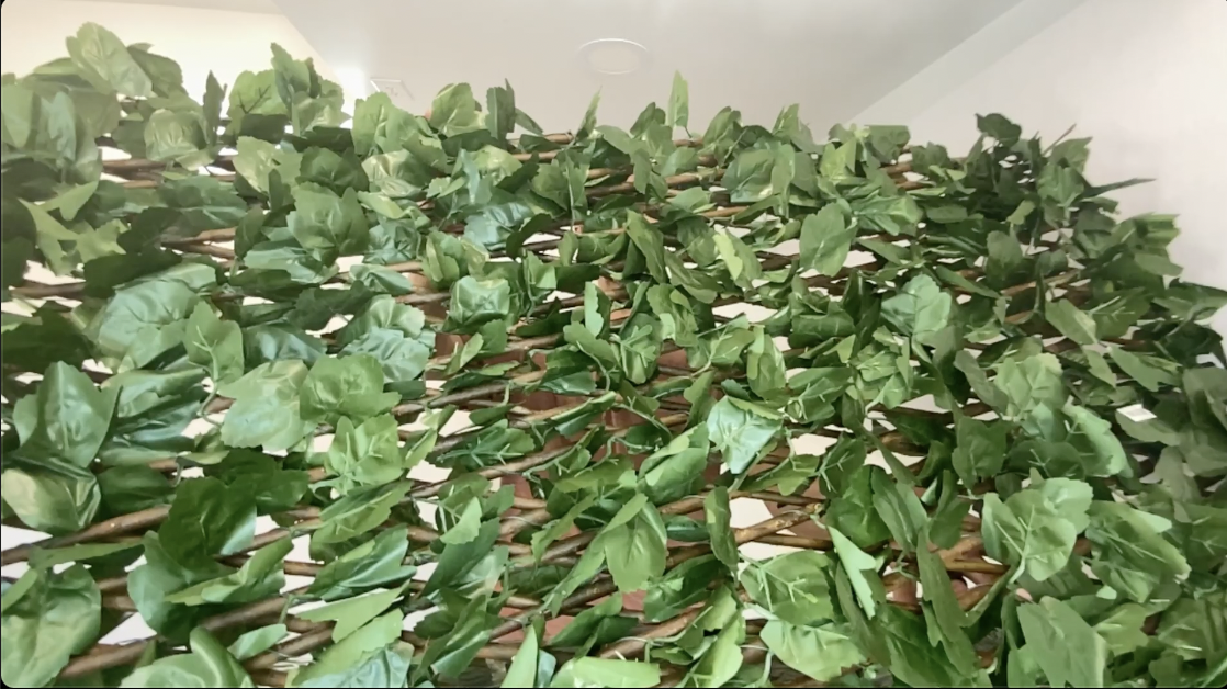 BEST Adjustable Ivy Wall Privacy Screen? | Expandable Fences