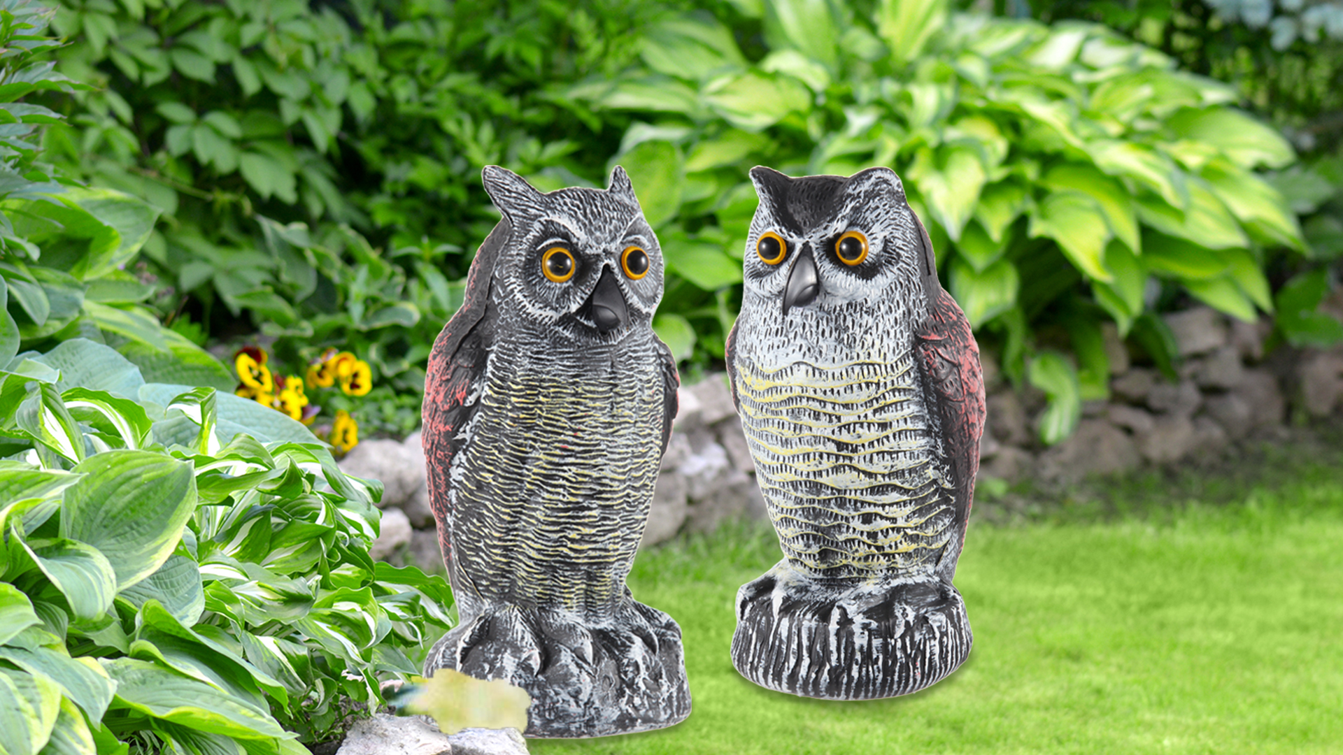 owl demo 2枚セット Amazon.com: Hedoc 2 Pack Fake Owl Decoys to Scare Birds Away from