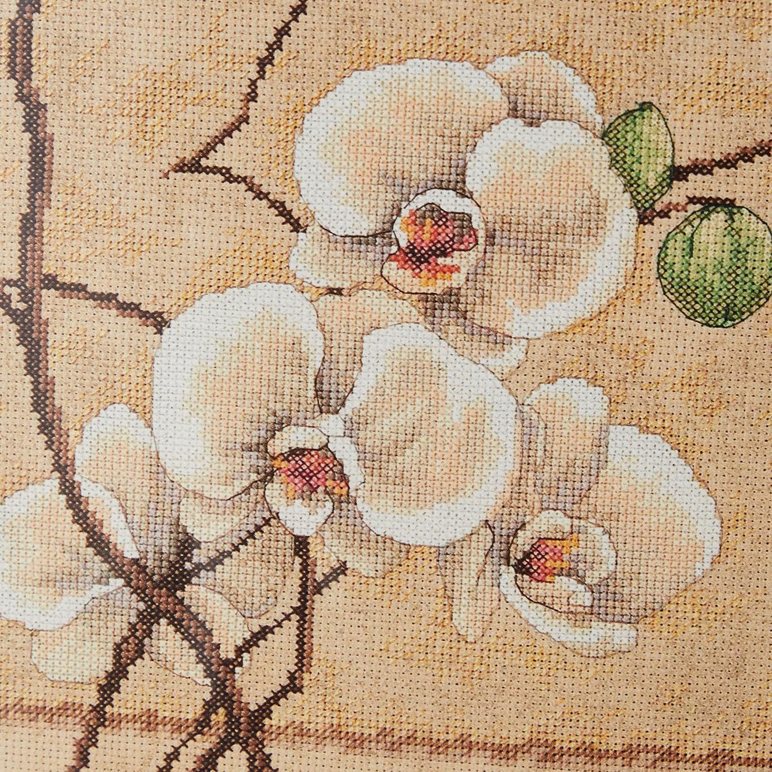 Dimensions 'Oriental Orchids' Counted Cross Stitch Kit, 14 Count Beige Aida, 12" x 12"