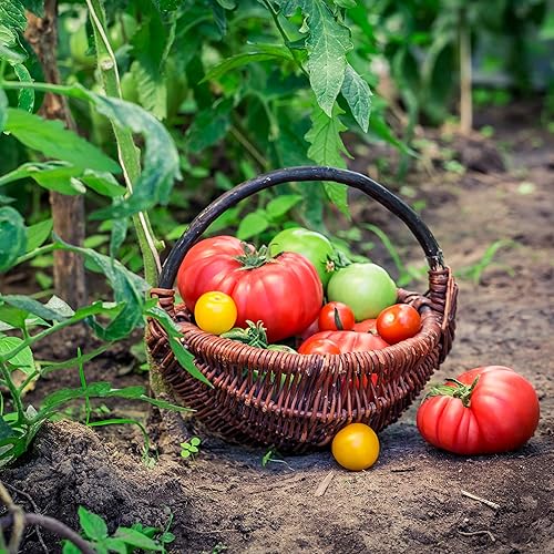 Miniatura 3 de Augason Farms 5-14000 semillas de jardín de verduras 13 variedades 1 libra n 10 lata