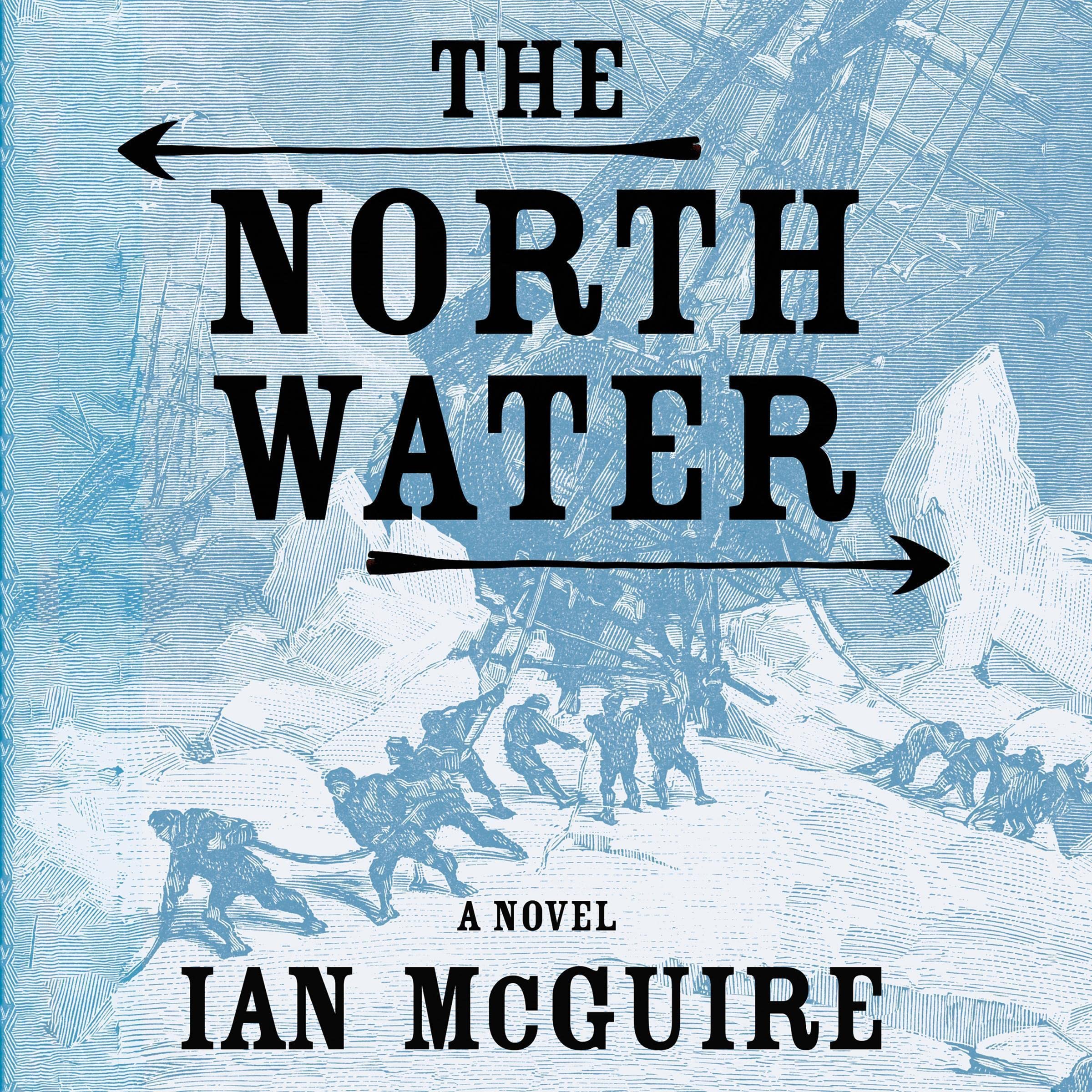 Cover art for The North Water