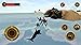 Orca Survival Simulator