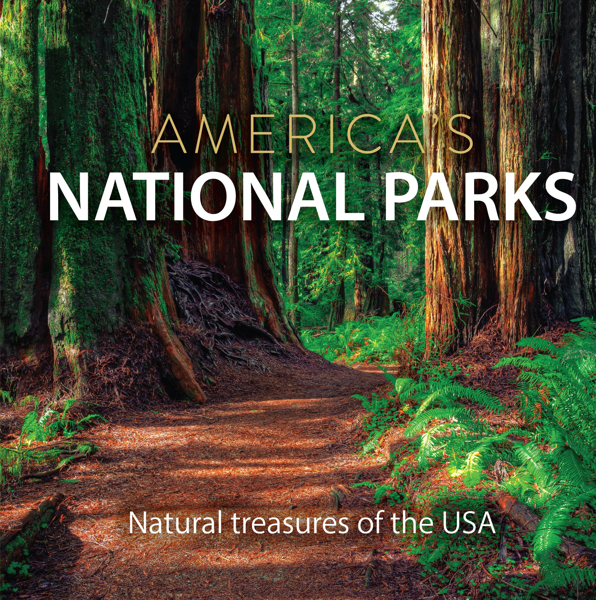 America’s National Parks: Natural Treasures of the USA