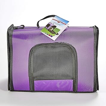 Kaytee Come Along Carrier, Large