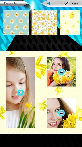 Colagem de Foto de Daffodils