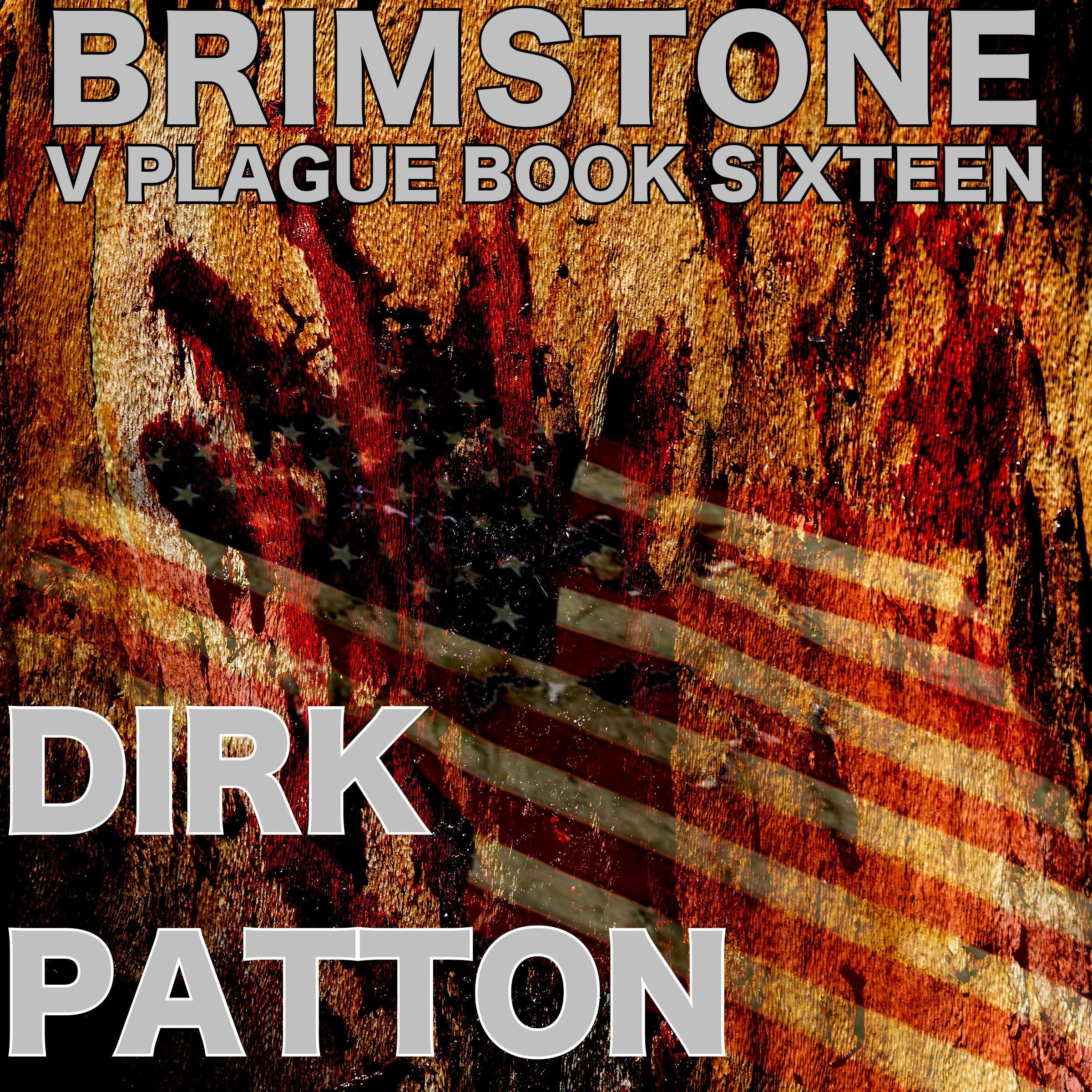 Cover art for Brimstone: V Plague, Book 16