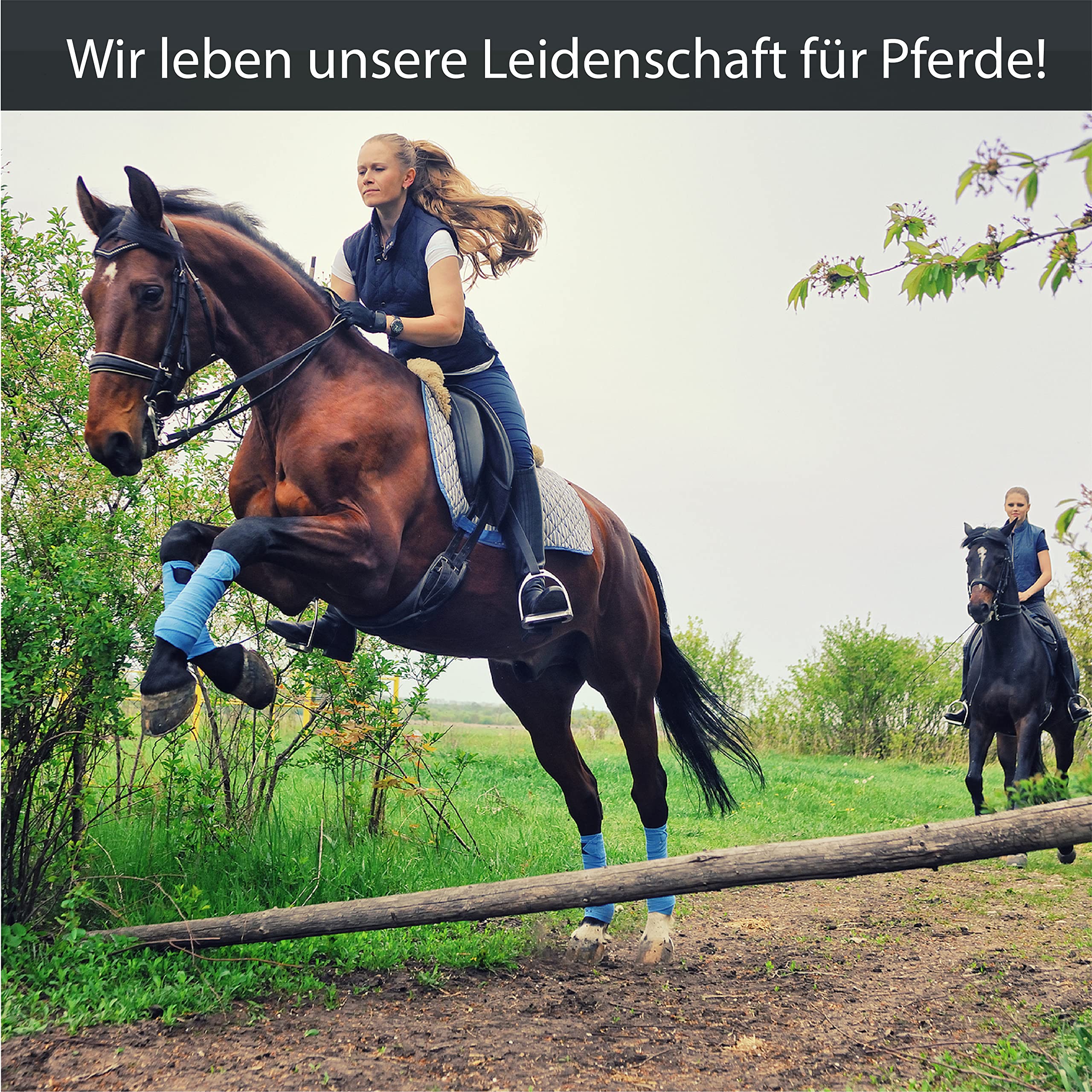 Sangle De Selle En Néoprène Pour Cheval - Noire 70 Cm - Confortable Et Respirante - Pour Équitation
