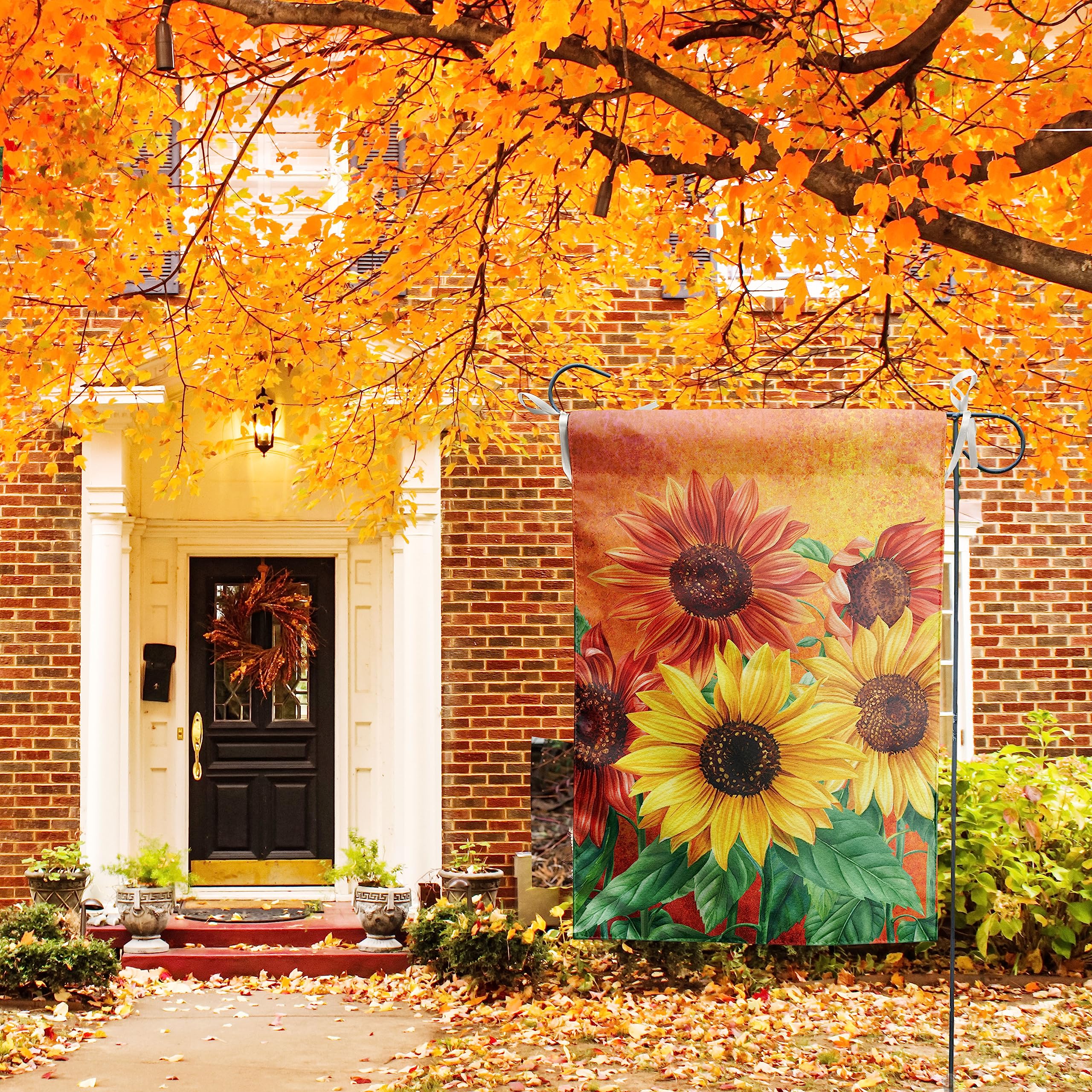 Herbst Sonnenblume Foto \u0026 Bild | Jahreszeiten, Herbst, Sonnenblume Bilder  Auf, image size:2560x2560