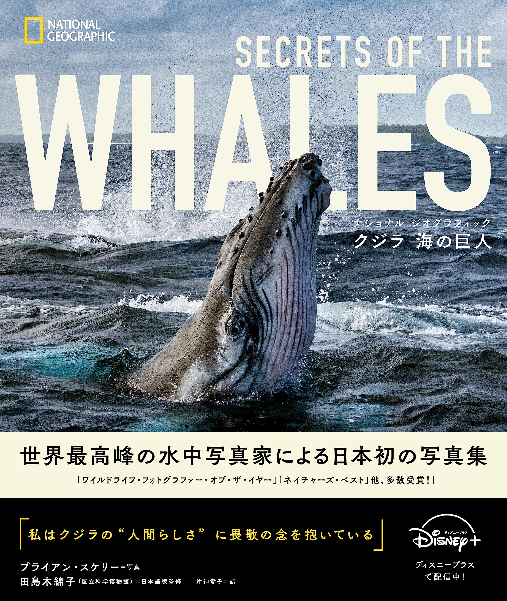 海の物語　EoNa 限定236/350 クジラと海の風景 リトグラフ 海の物語 EoNa 限定236/350 クジラと海の風景 リトグラフ