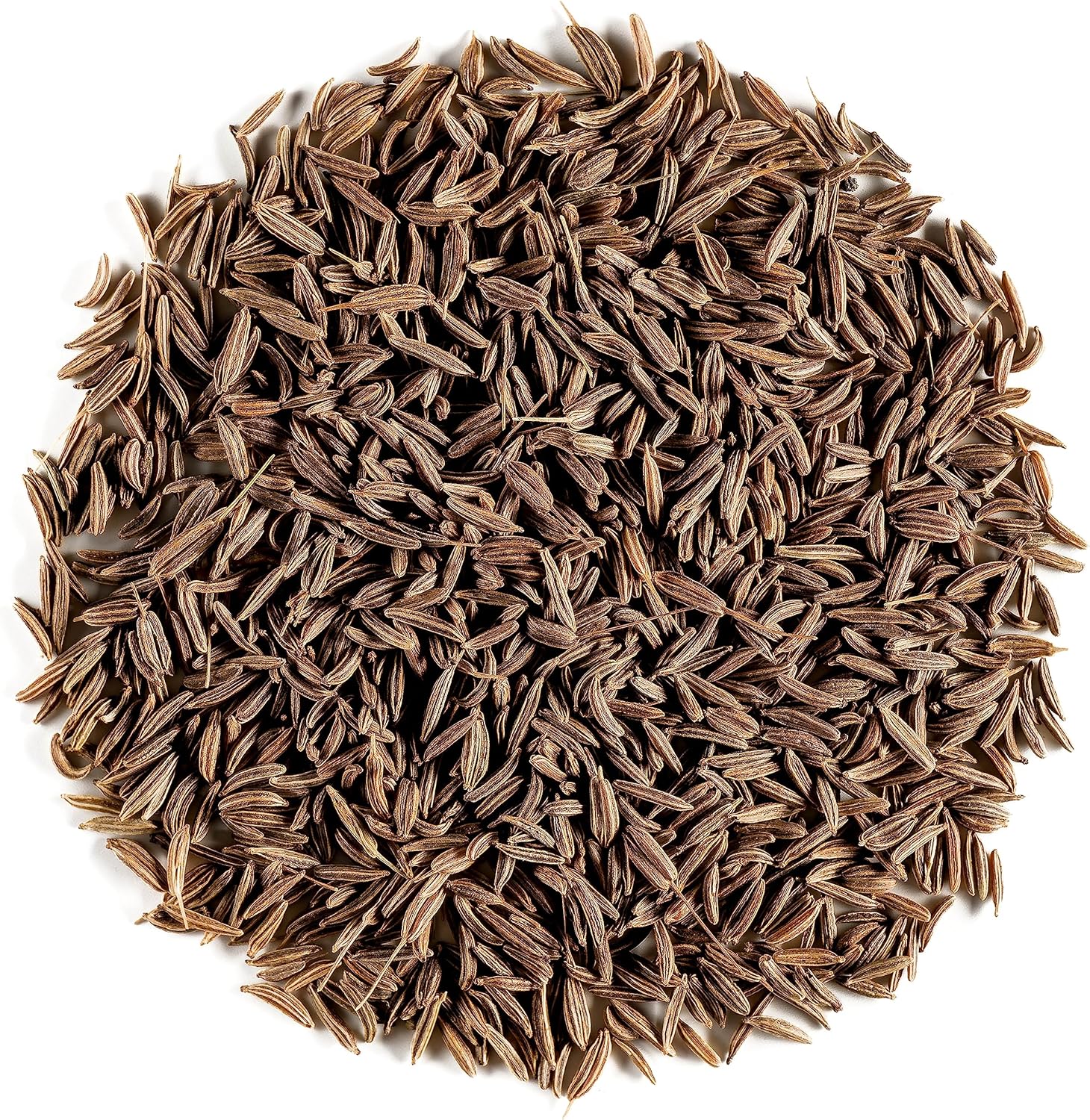 Cumin Bio Graines Épice Graine Cuminum Cyminym Cumin Graines Cumin En