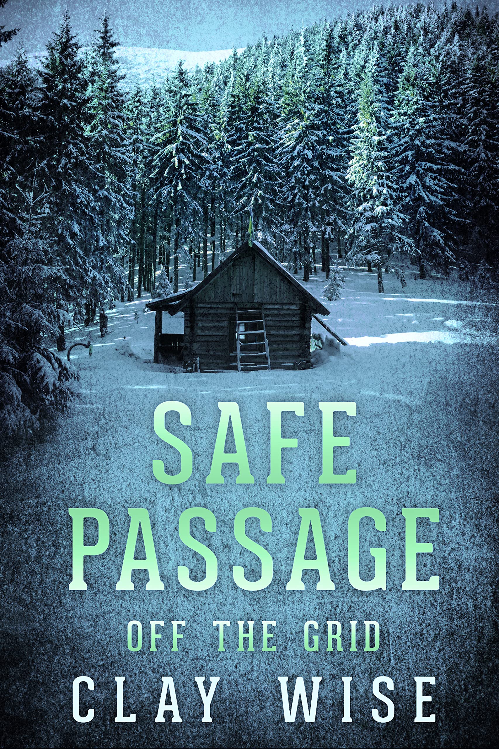 Safe Passage: EMP Survival in a Powerless World, Book 2