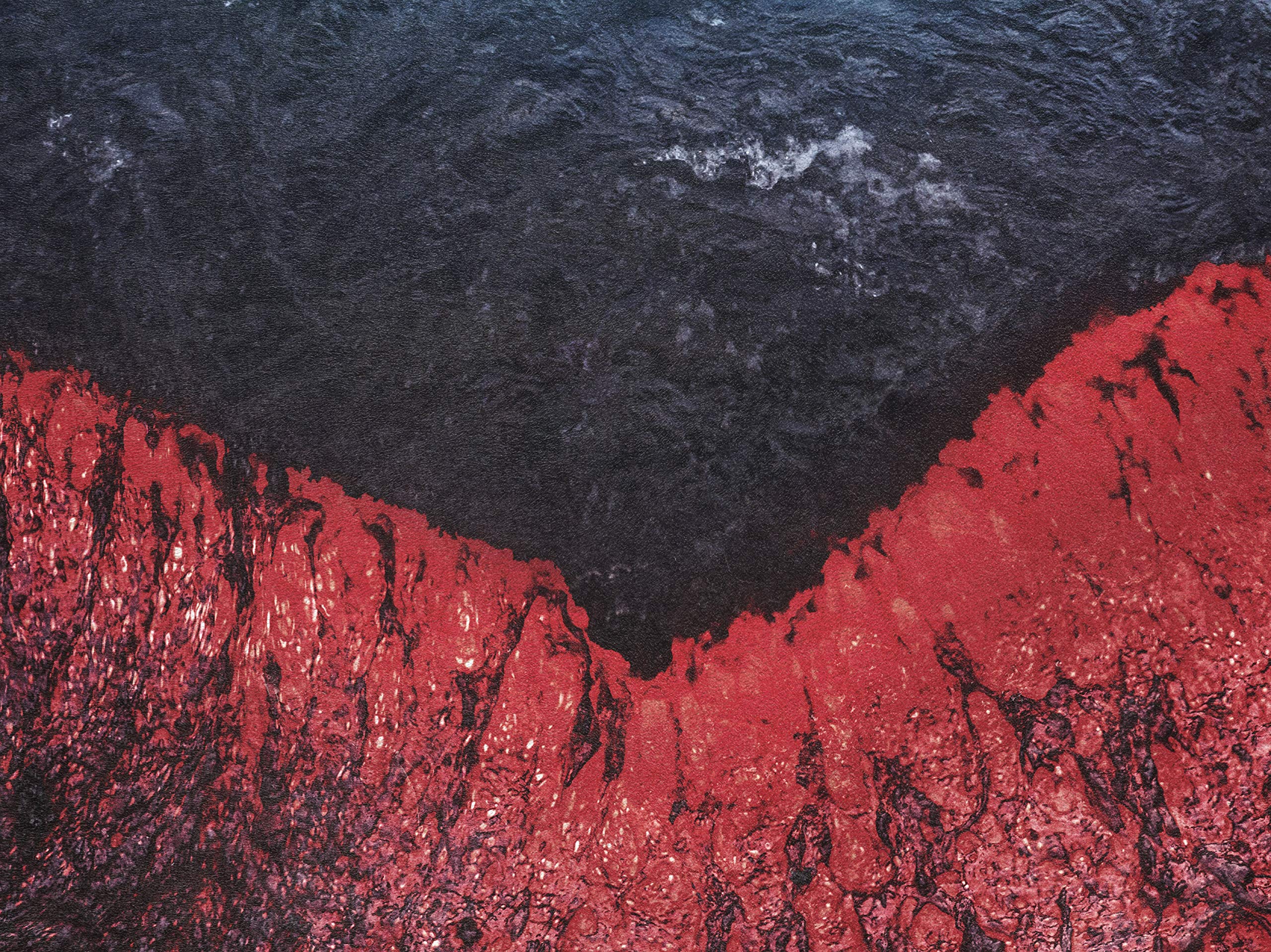 Our Hollow, Our Home