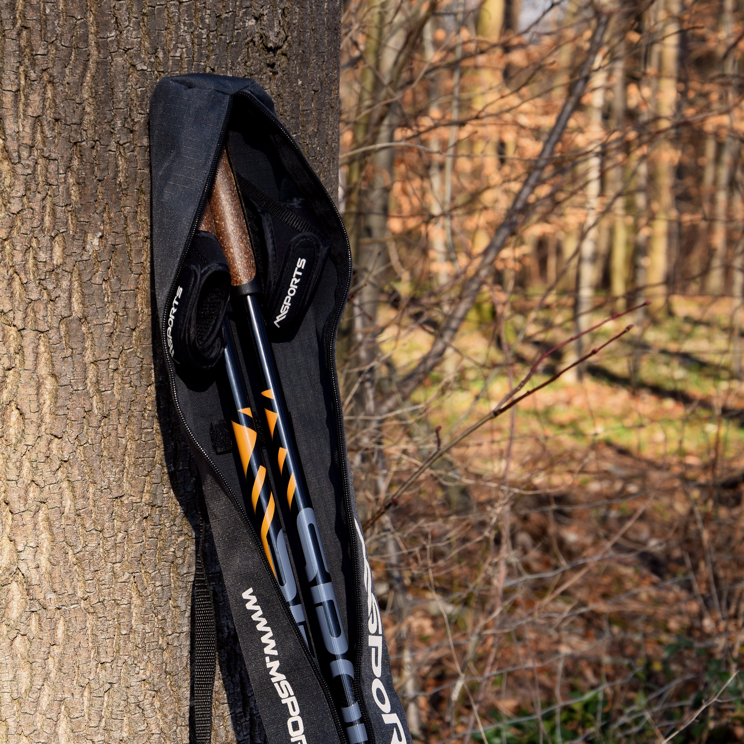 MSPORTS Bastoncini Nordic Walking Premium Antracite | Selezionabile con Borsa (Bastoncini Nordic Walking Premium - Ultraleggero - Walking Sticks - Antracite/Azzurro con Borsa