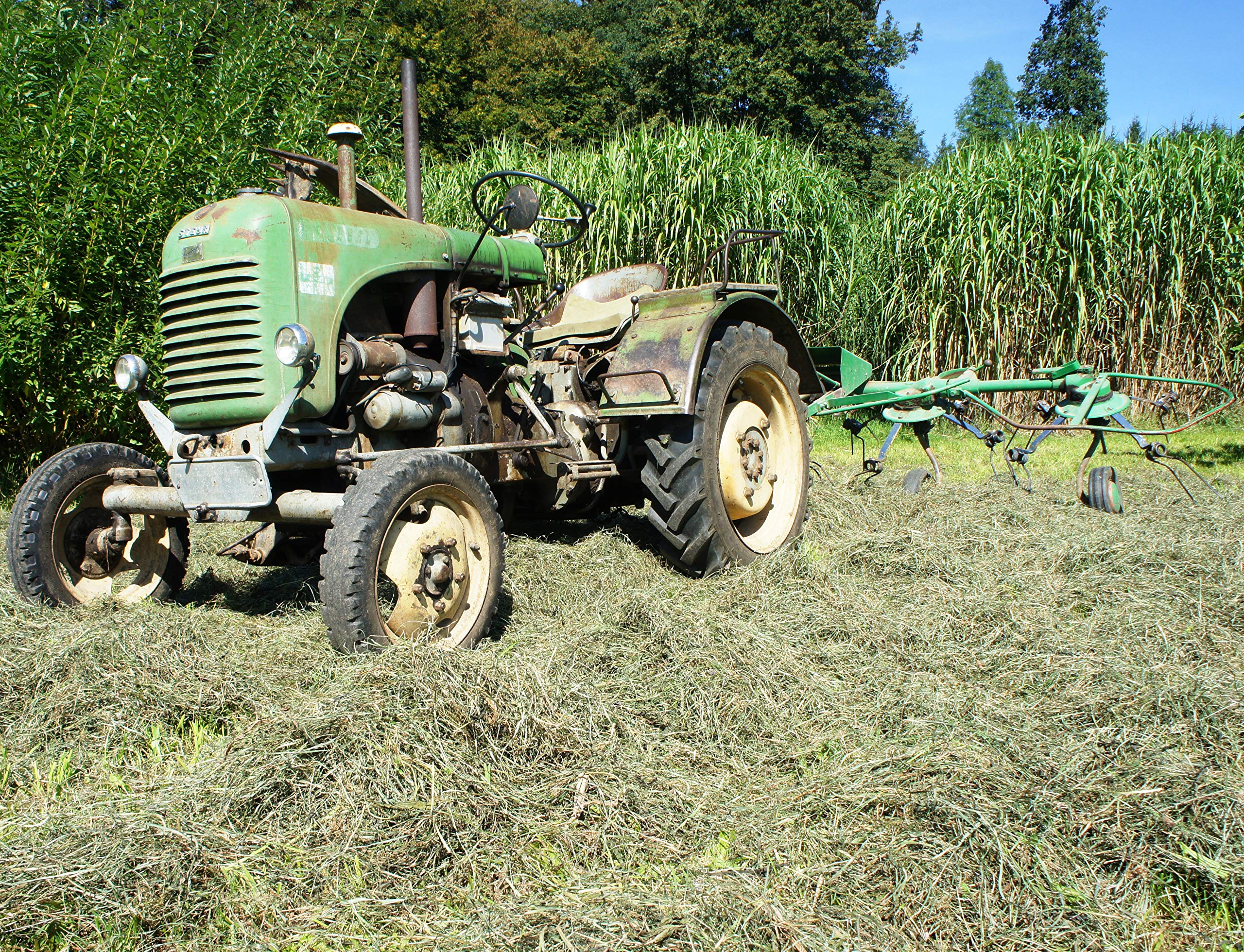 Jumbogras® NATURHEU 1.u.2. Schnitt: Qualitäts-Kleintier-Futter, Heu für Kaninchen/Hasen & Nager - Heuballen verschnürt, aus der größten Heumilch-Region Europas in Österreich (2 x 18-20 kg)