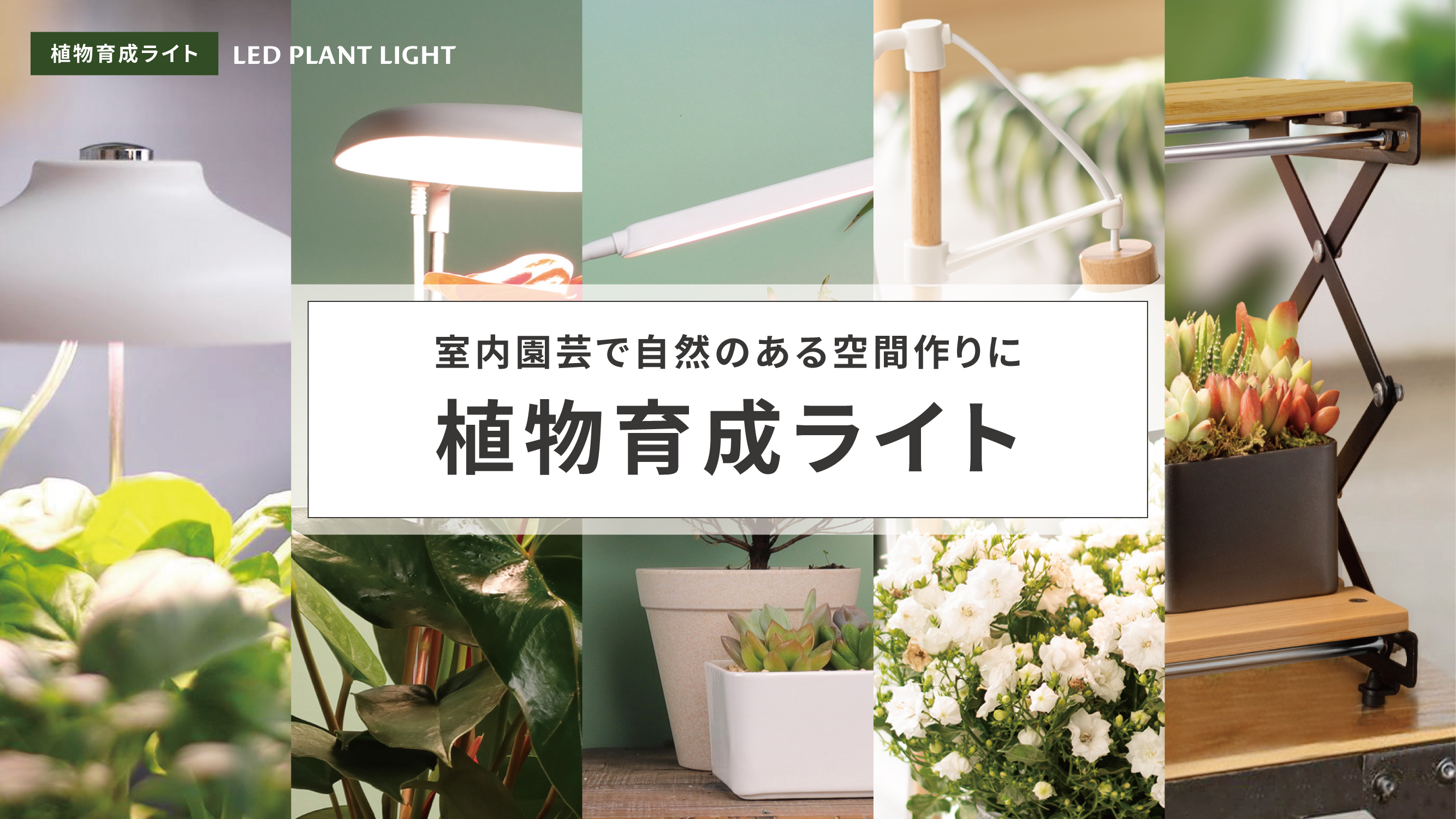 室内栽培に圧倒的な支持！！ Adjustable LED 780W+100w 室内栽培に圧倒的な支持！！ Adjustable LED 780W+100w