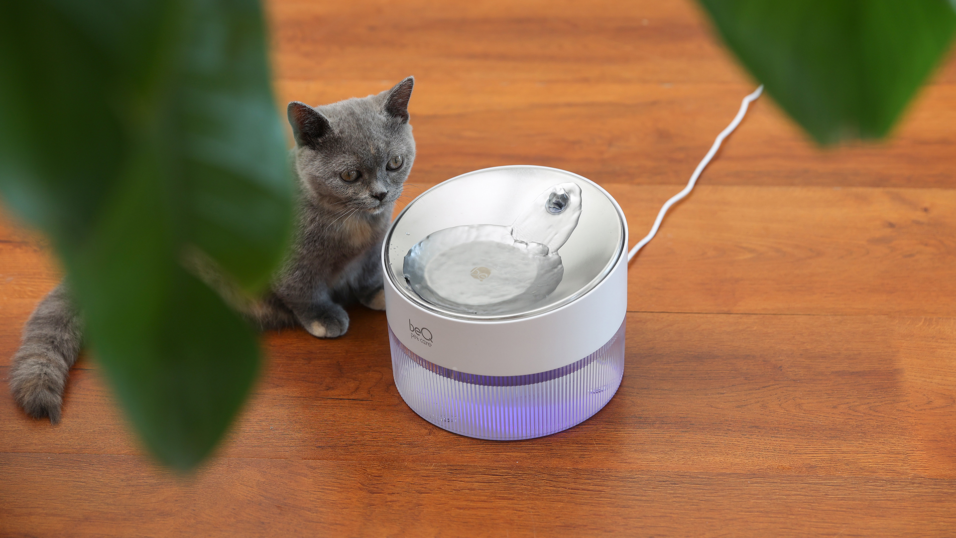 beQ Cat Water Fountain,2.5L/84oz Inside Ultra-Quiet Stainless Steel Automatic Pet Water Dispenser,BPA Free,Visible Water Level,with a Large Size Filter,Suitable for Cats & Small Dogs - image 8