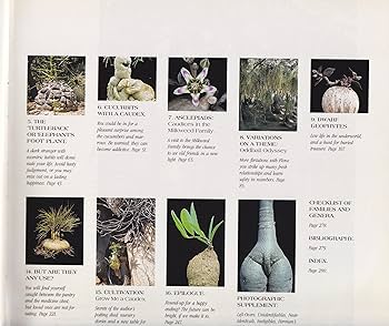 Caudiciform and Pachycaul Succulents 洋書 Caudiciform and Pachycaul Succulents - Gordon Rowley