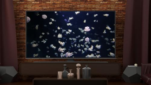 Aquarium de poissons tropicaux - Téléviseur récifal 4K Relax – vue 7