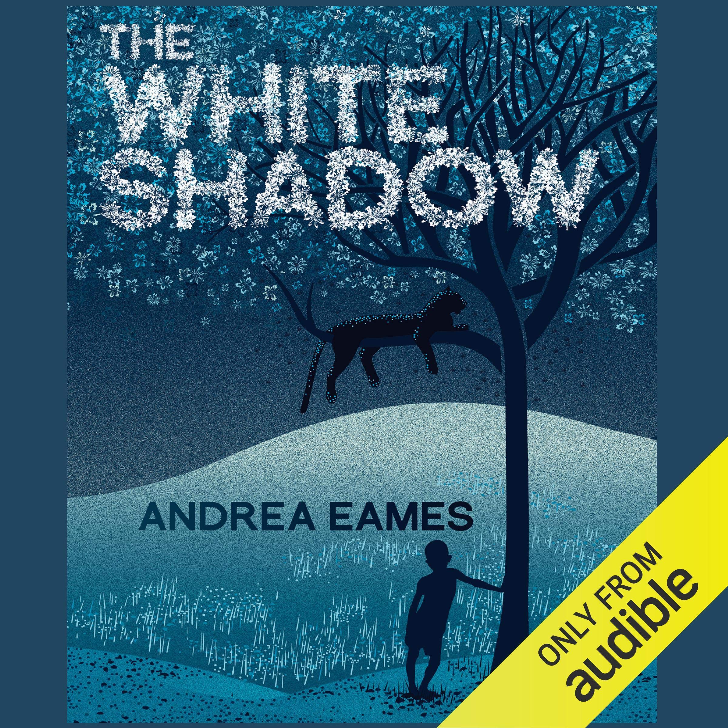 Cover art for The White Shadow
