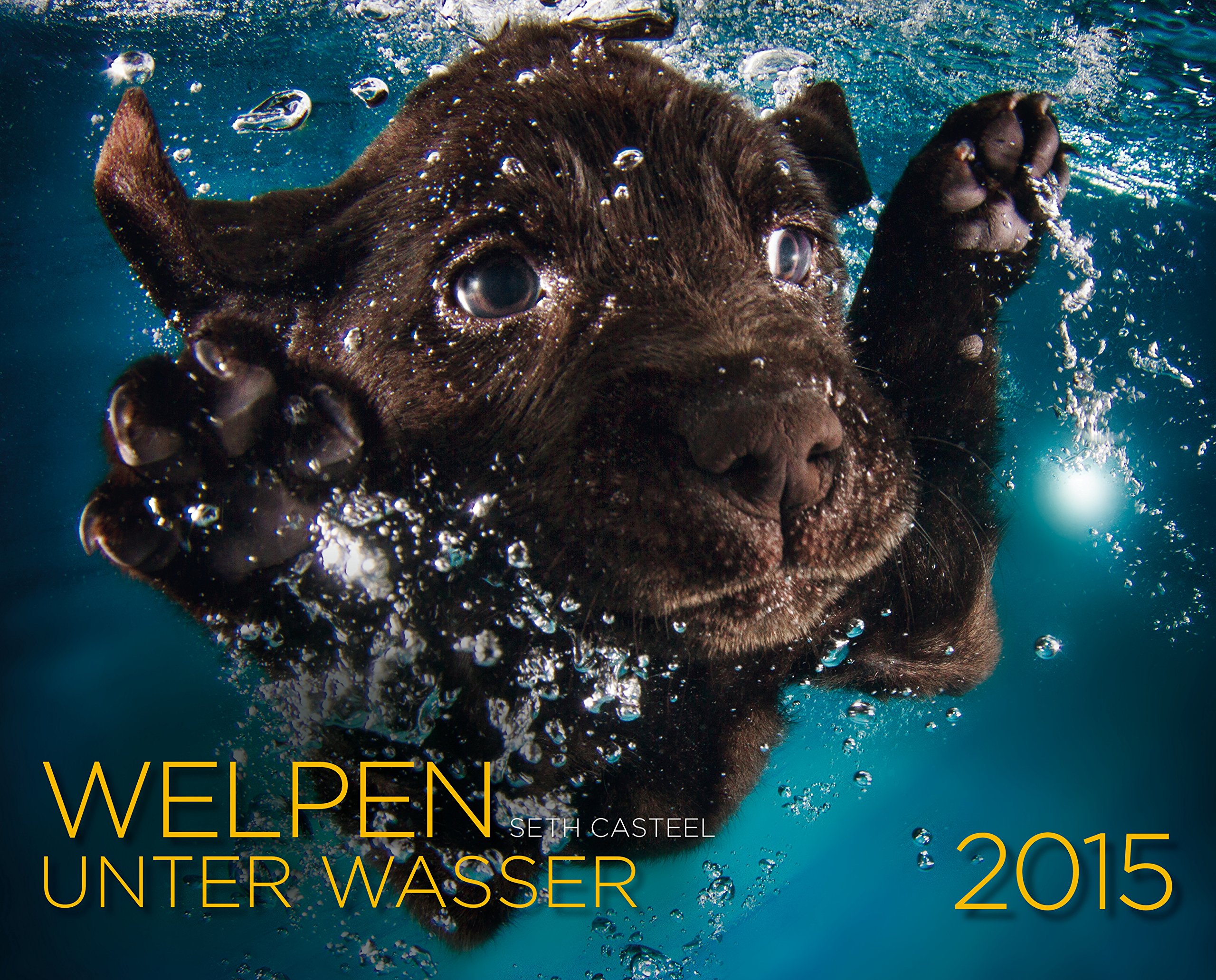 Welpen unter Wasser 2015