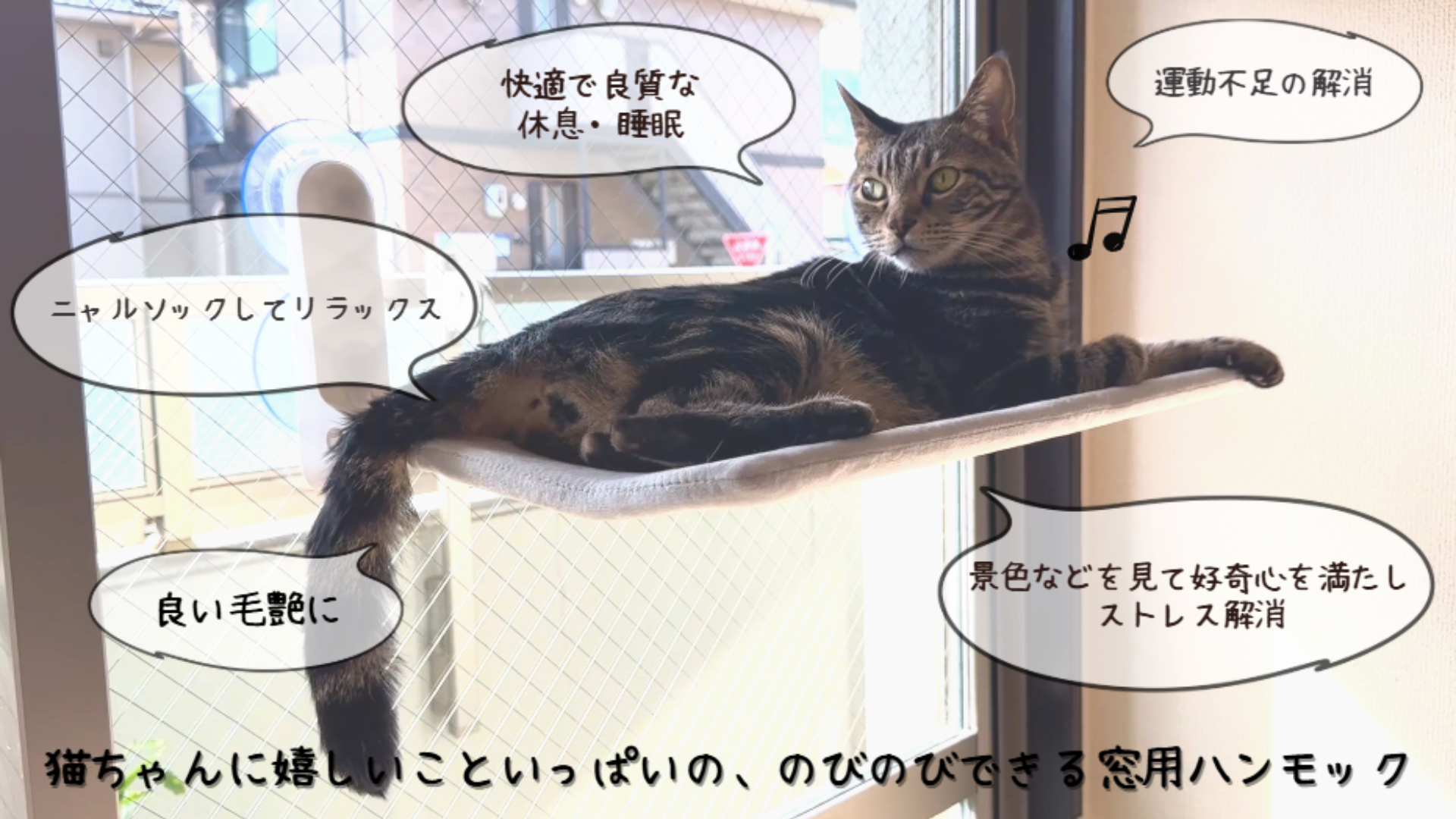 餅猫さま専用 Amazon.co.jp: fabuon life ねこのきもち・猫びより掲載 2025年