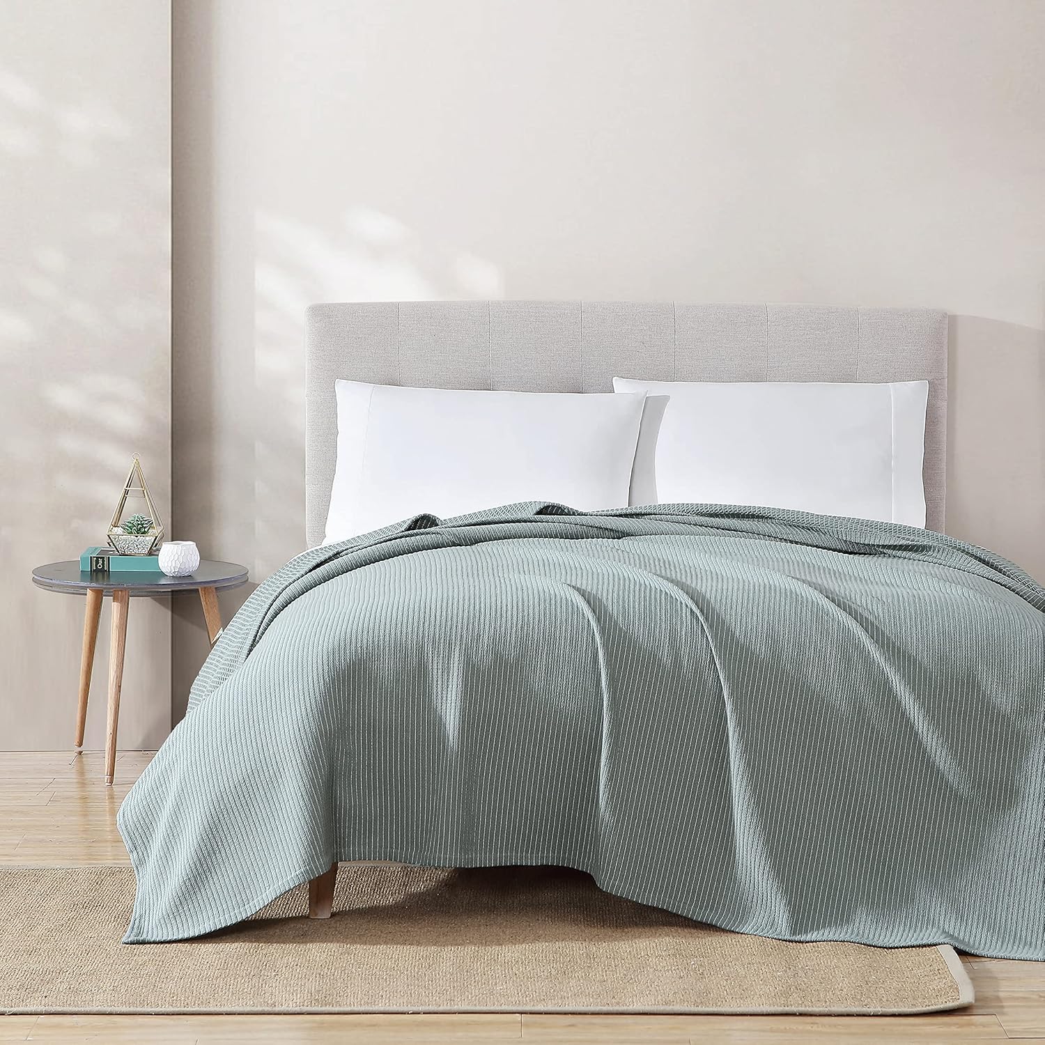 ED Ellen DeGeneres Blanket Cotton MediumWeight Bedding