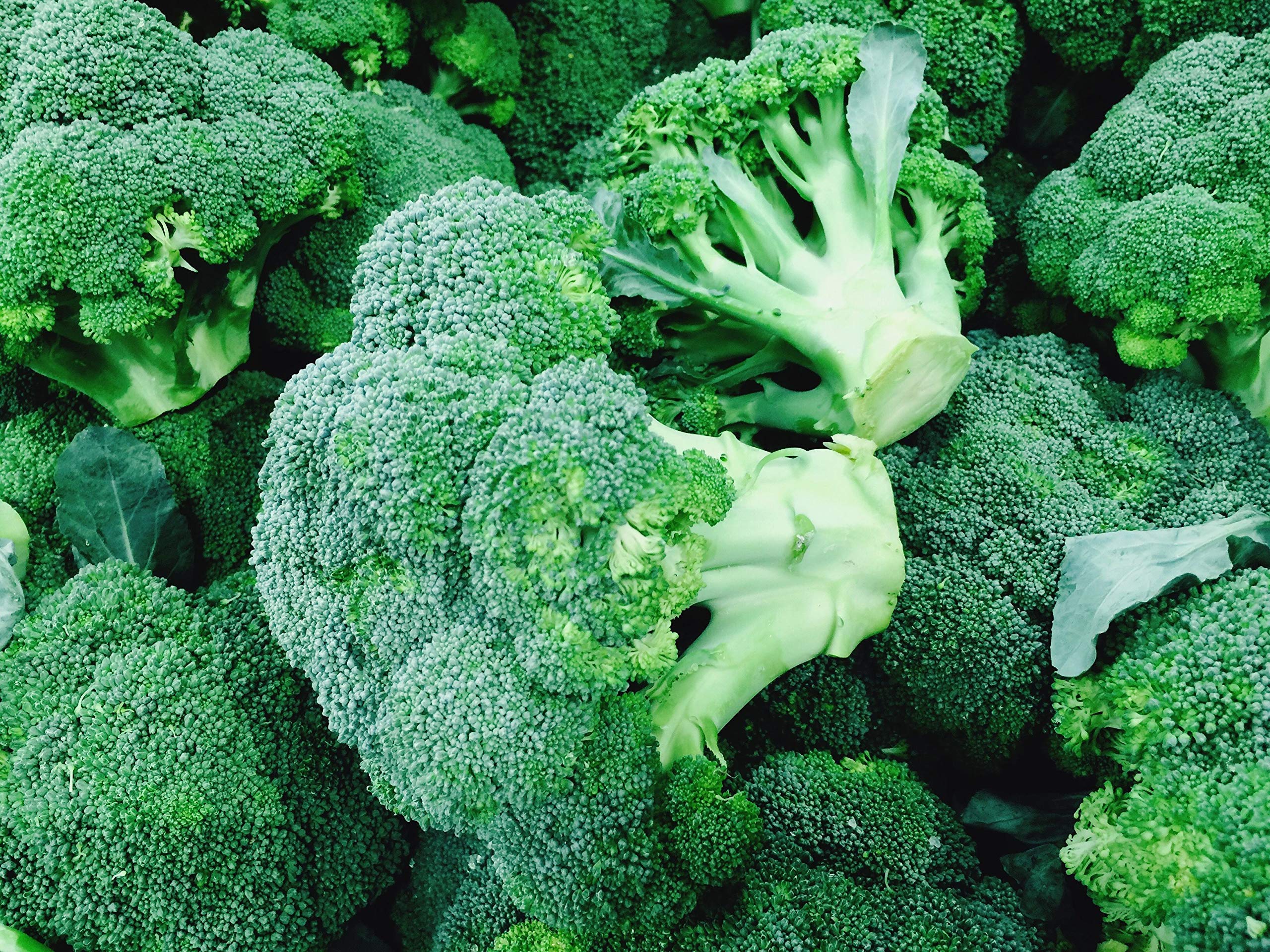 VIBEX™ XXL-145-High Germination 100% Organic Broccoli F1 Hybrid Seeds (B0912666G2) Amazon Price History, Amazon Price Tracker