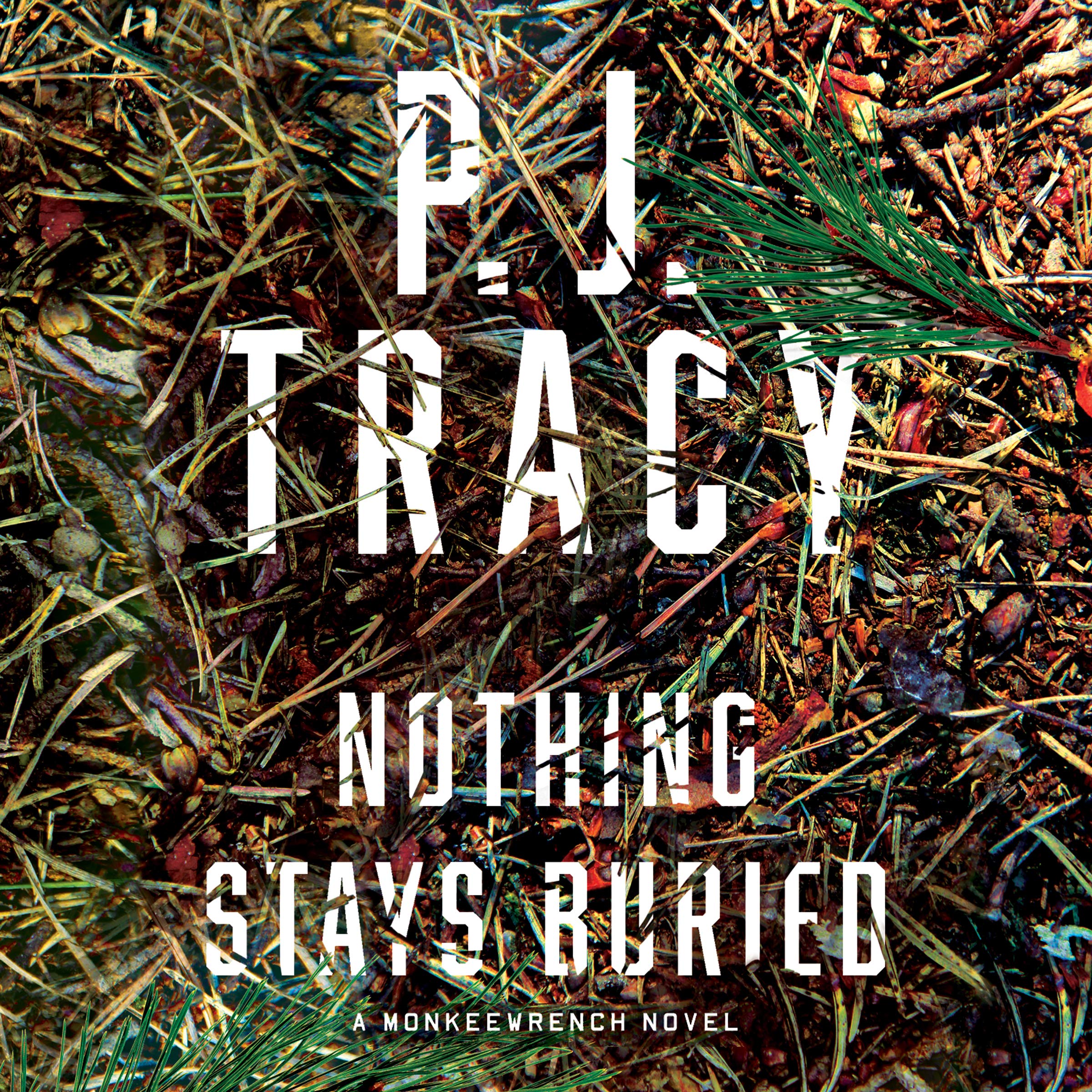 Cover art for Nothing Stays Buried