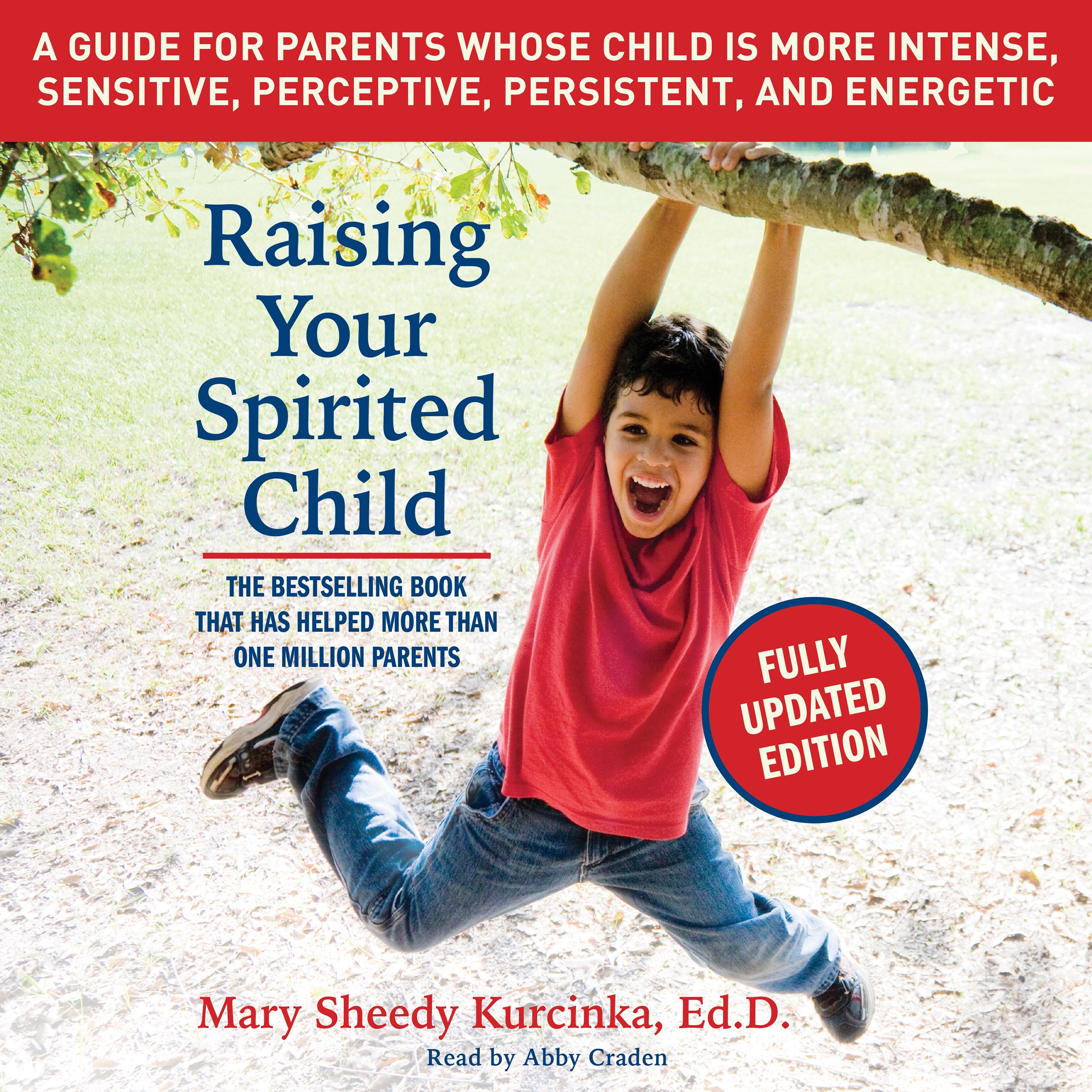 Cover art for Raising Your Spirited Child, Third Edition
