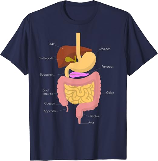 Digestive system t shirt Clearance