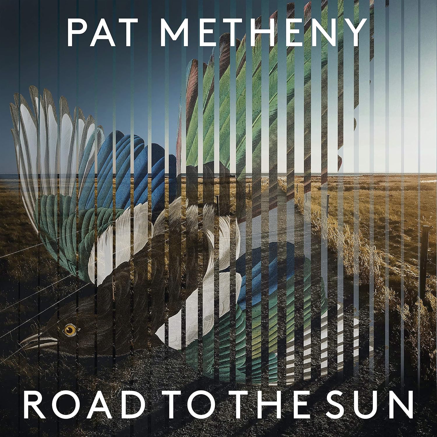 Pat Metheny - Road to the Sun por Pat Metheny — capa do álbum