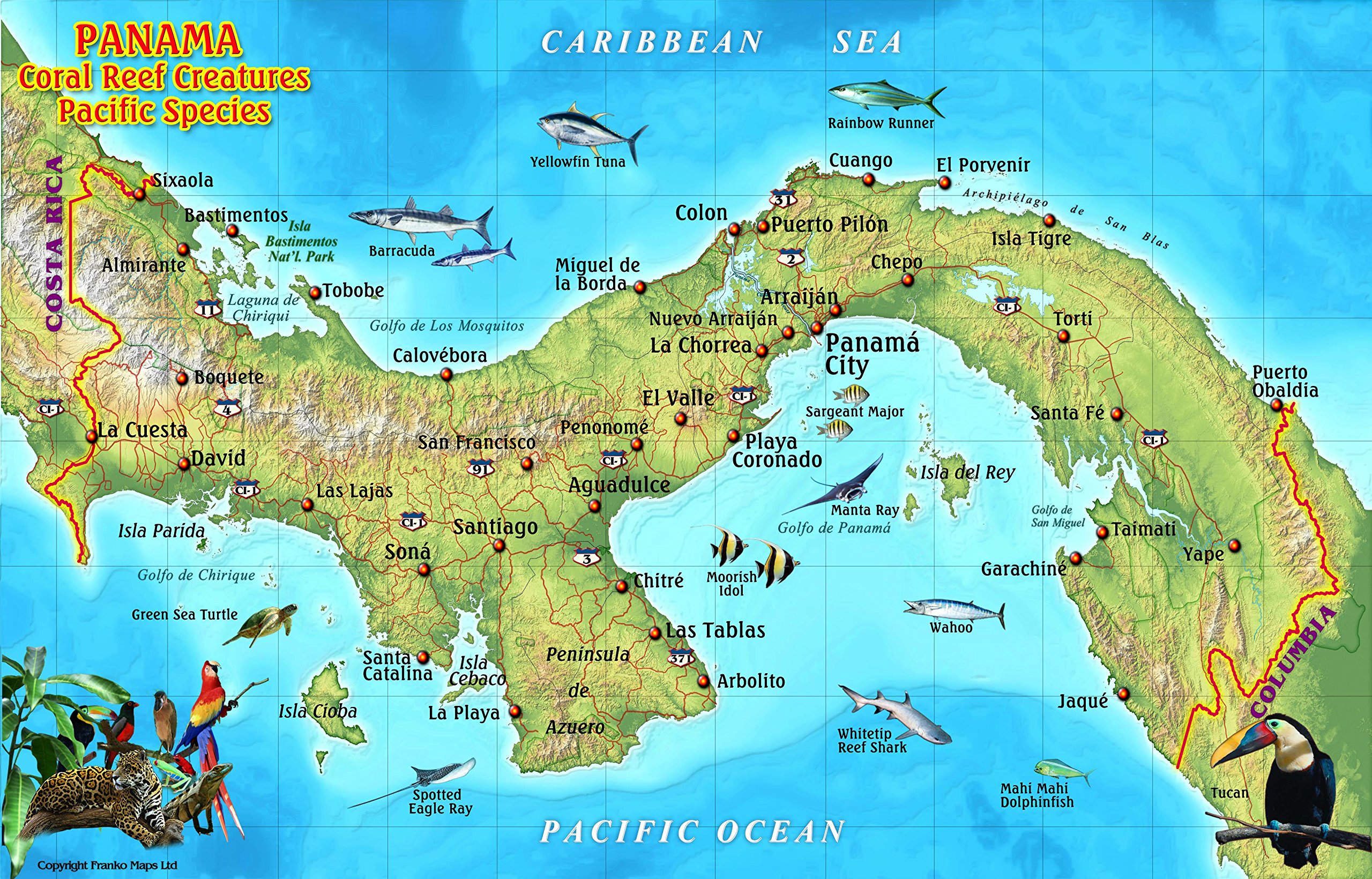 Panama Pacific Coral Reef Creatures Guide Franko Maps Laminated Fish Card