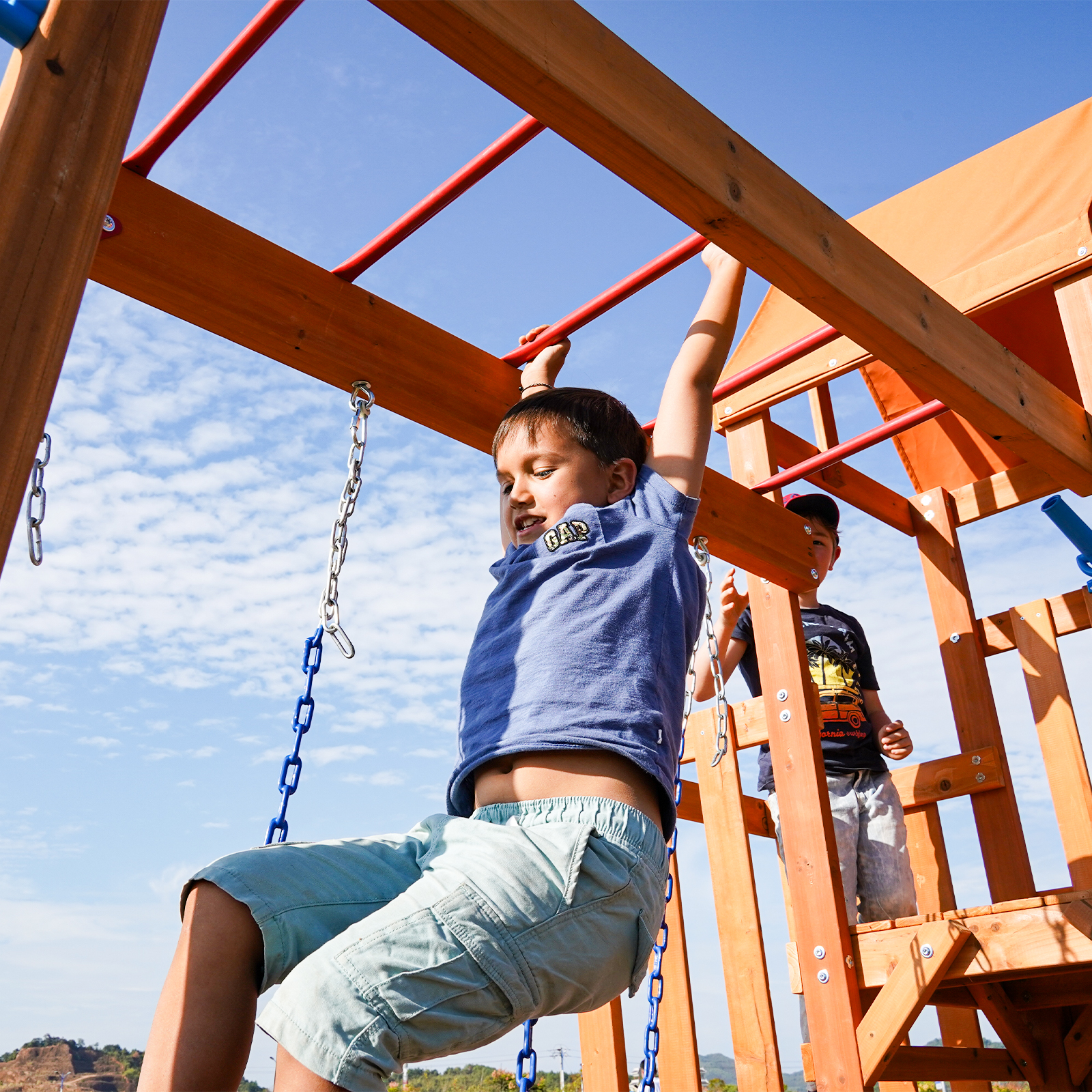 Amazon.com: Dolphin Playground Cedar Wooden Swing Sets for
