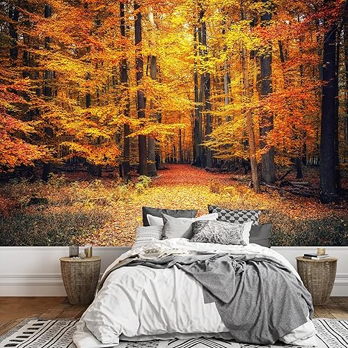wall26 - Camino en el parque otoñal - Mural de pared extraíble  Papel pintado grande autoadhesivo - 100 x 144 pulgadas
