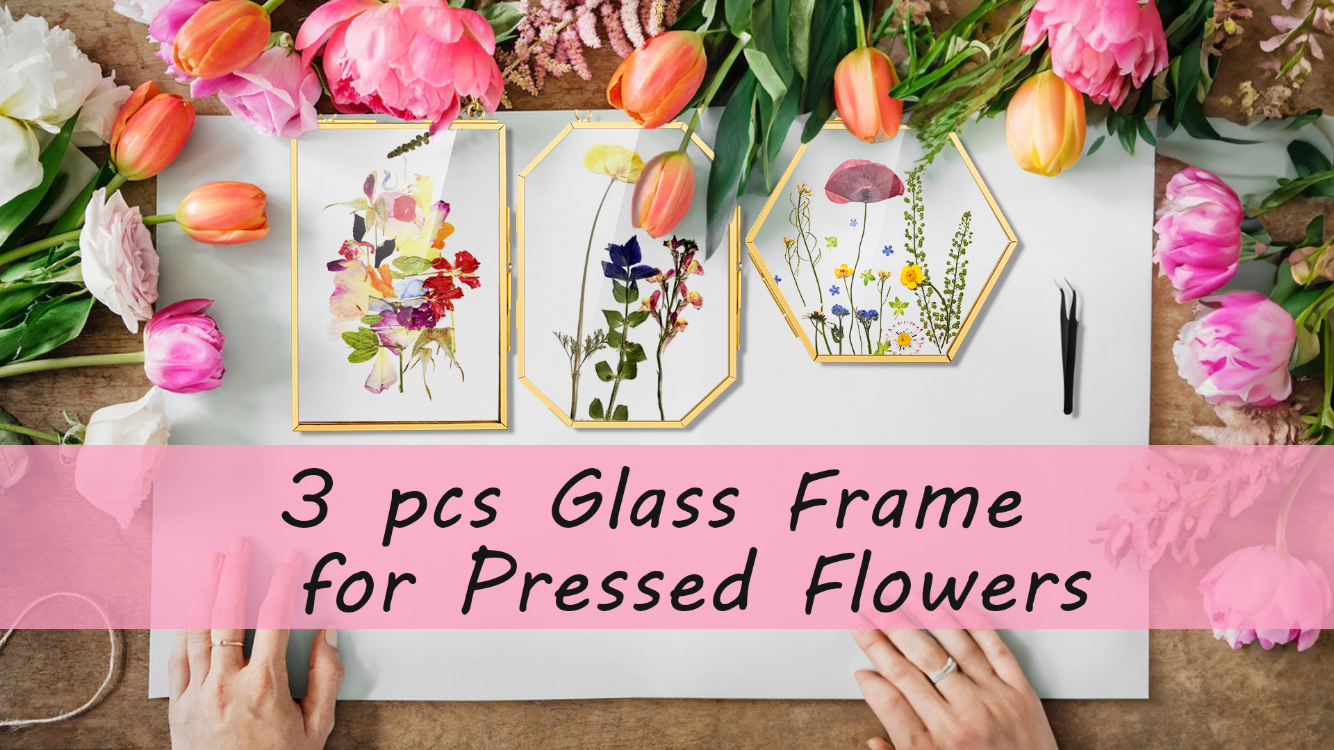 Amazon.com - FOCHIER F 3 Pcs Pressed Flower Frames with Tweezers