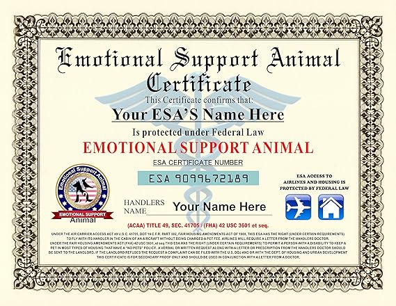 amazon com emotional support animal certificate customizable with pets handlers name office products