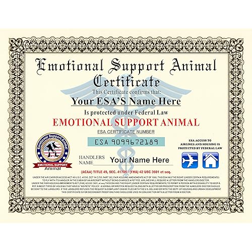 Emotional Support Animal Amazon Com