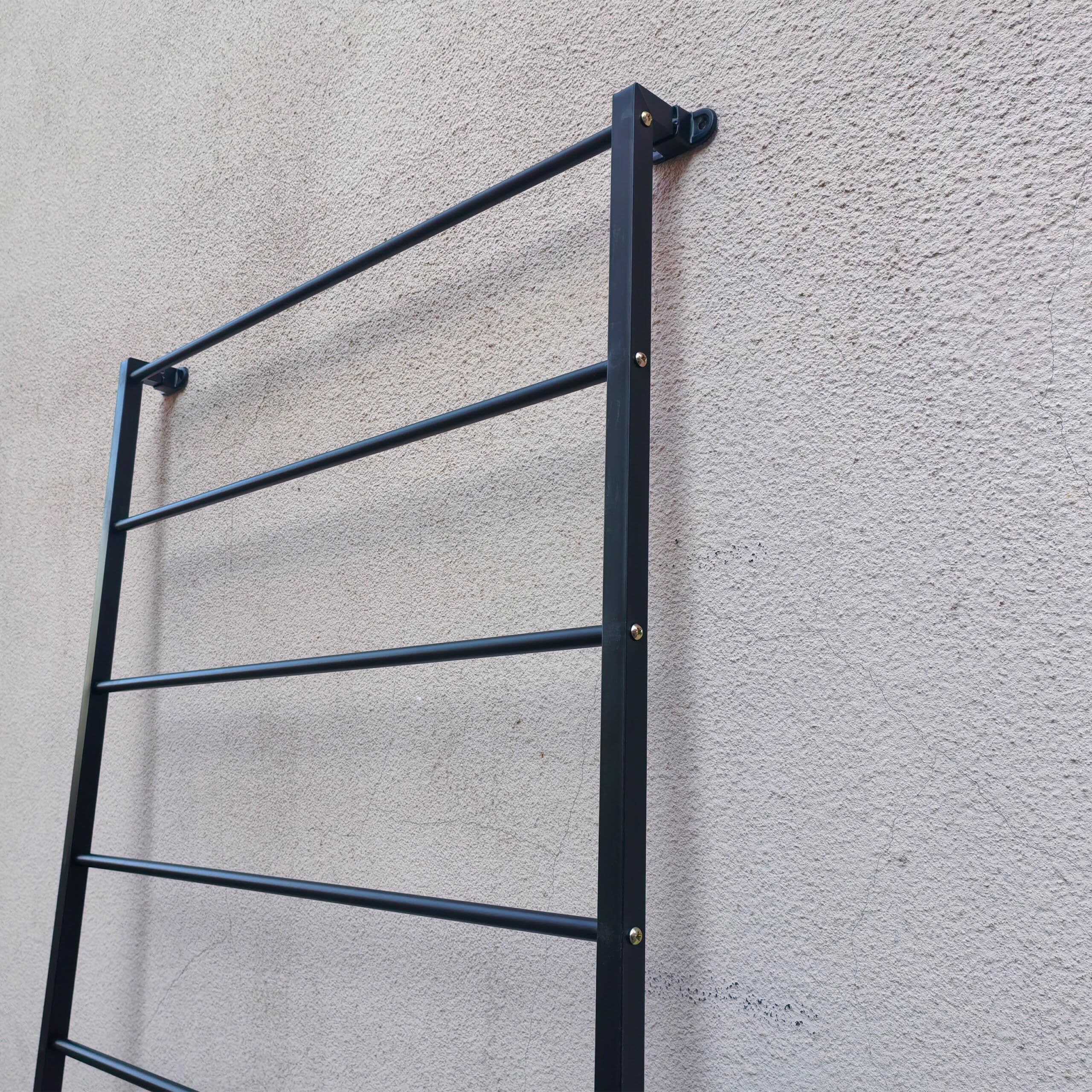 Relaxdays Rankgitter, 2er Set, Wandgitter HxB: 210 x 76 cm, Kletterpflanzen Rankhilfe, Wandbefestigung, Stahl, schwarz
