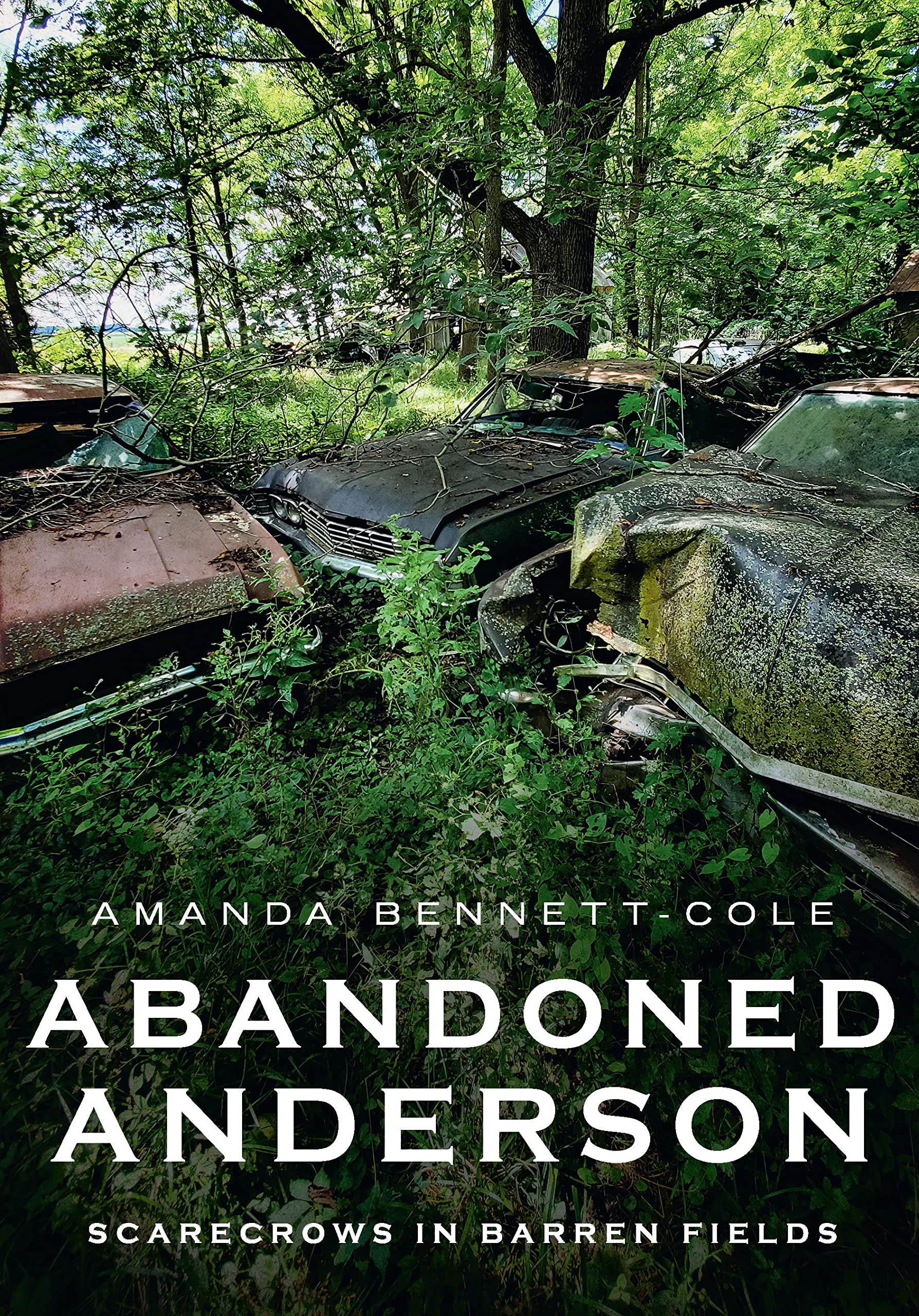 Abandoned Anderson, Indiana: Scarecrows in Barren Fields (America Through Time)