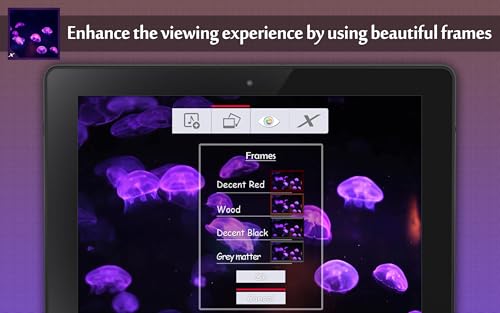 Funky Jelly Fish Aquarium - Colourful Aqua Life