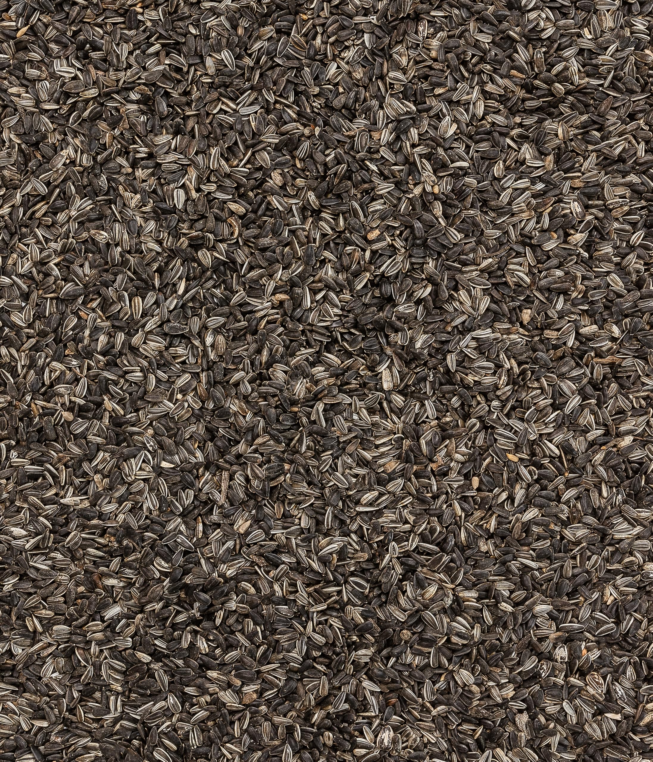 Dehner Natura Nourriture pour Oiseaux Sauvages Graines de Tournesol 2,5 kg