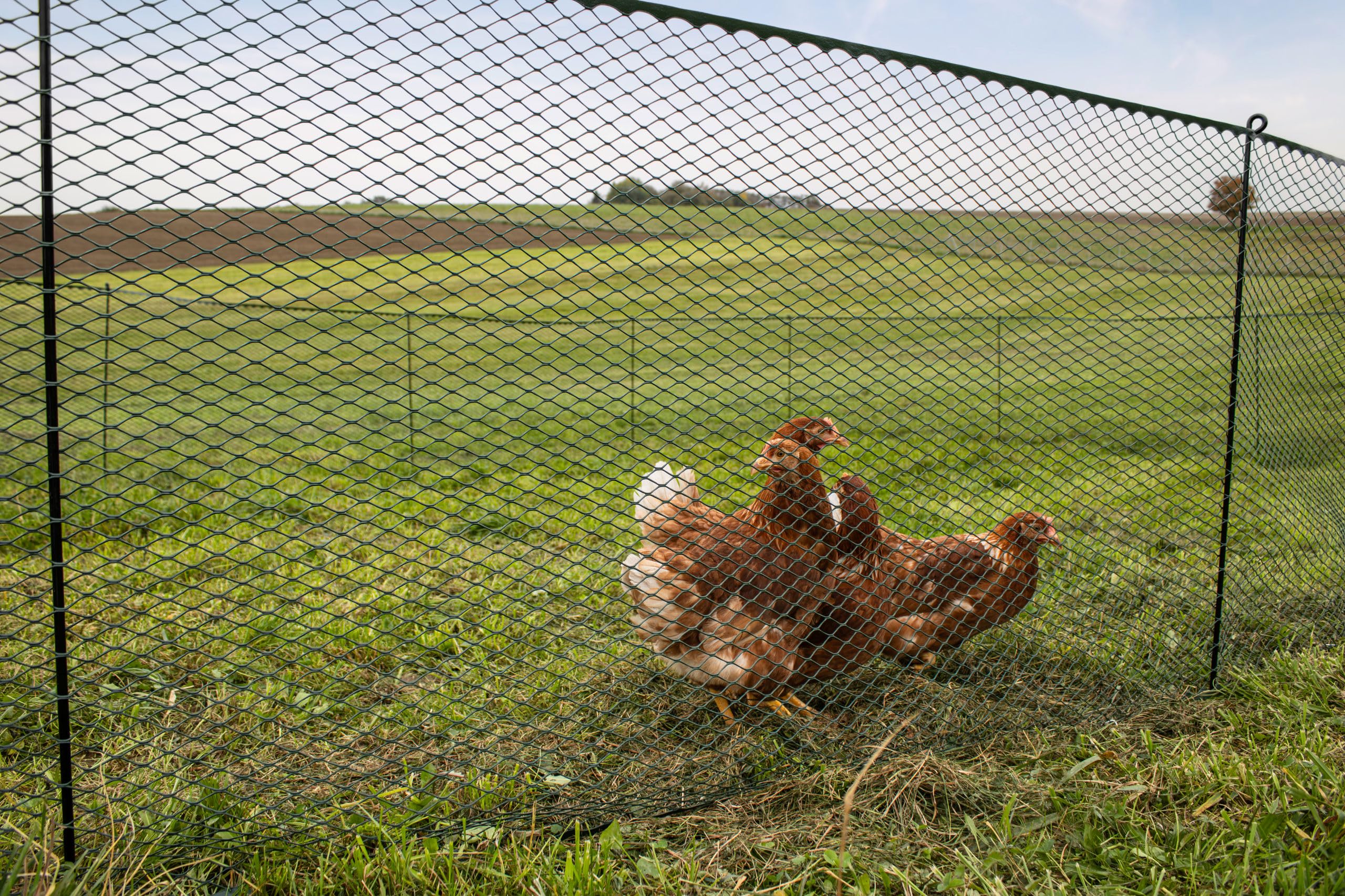 Kerbl Hobbyfarming Cerca Universal MultiFence, Cerca para Aves de Corral, Cerca para gallinas, 25m x 90cm, plástico, para Aves de Corral, Pollos, Cerca móvil, instalación rápida