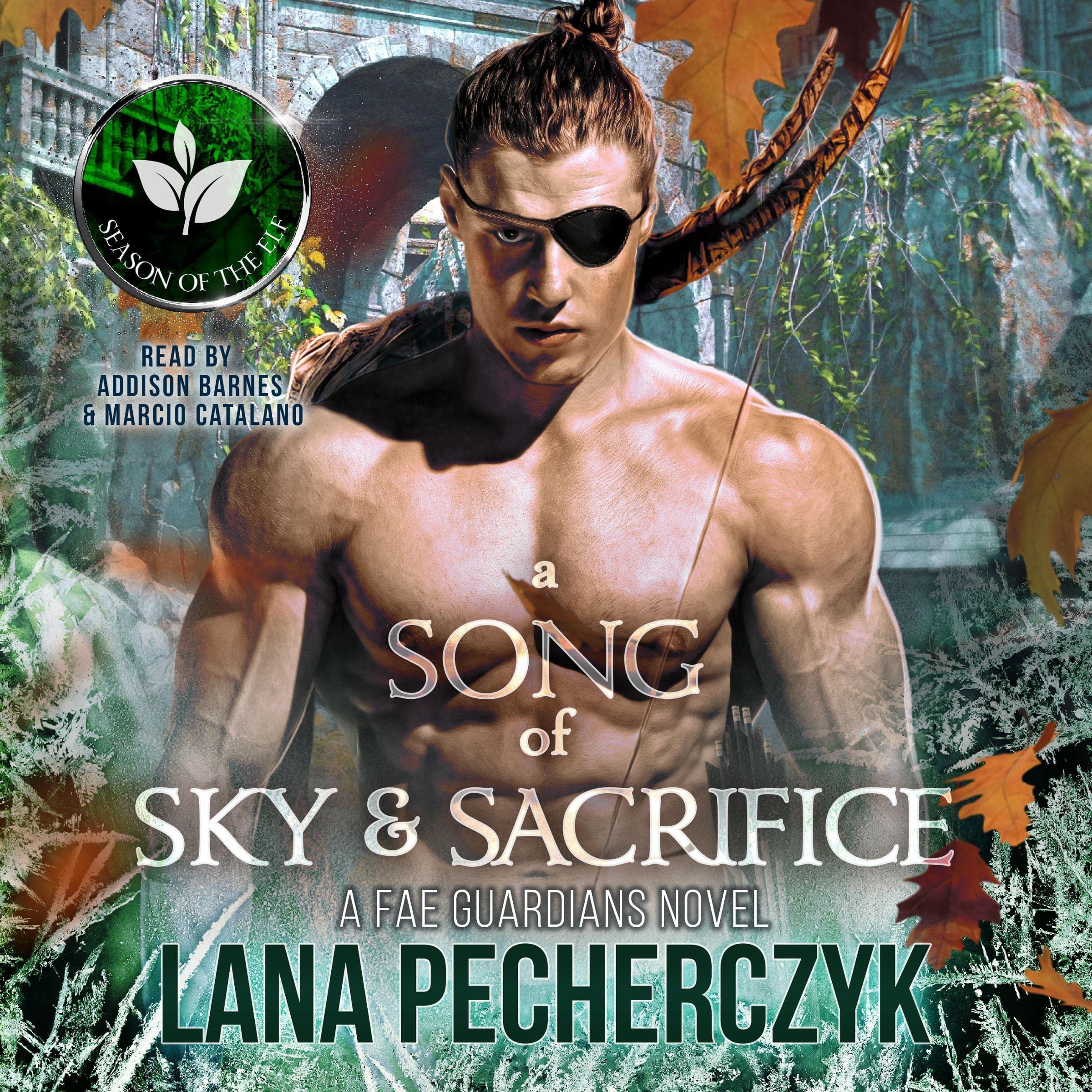 Cover art for A Song of Sky and Sacrifice